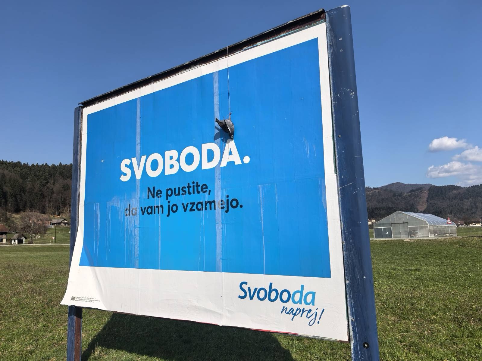 mrtva ptica, svoboda plakat