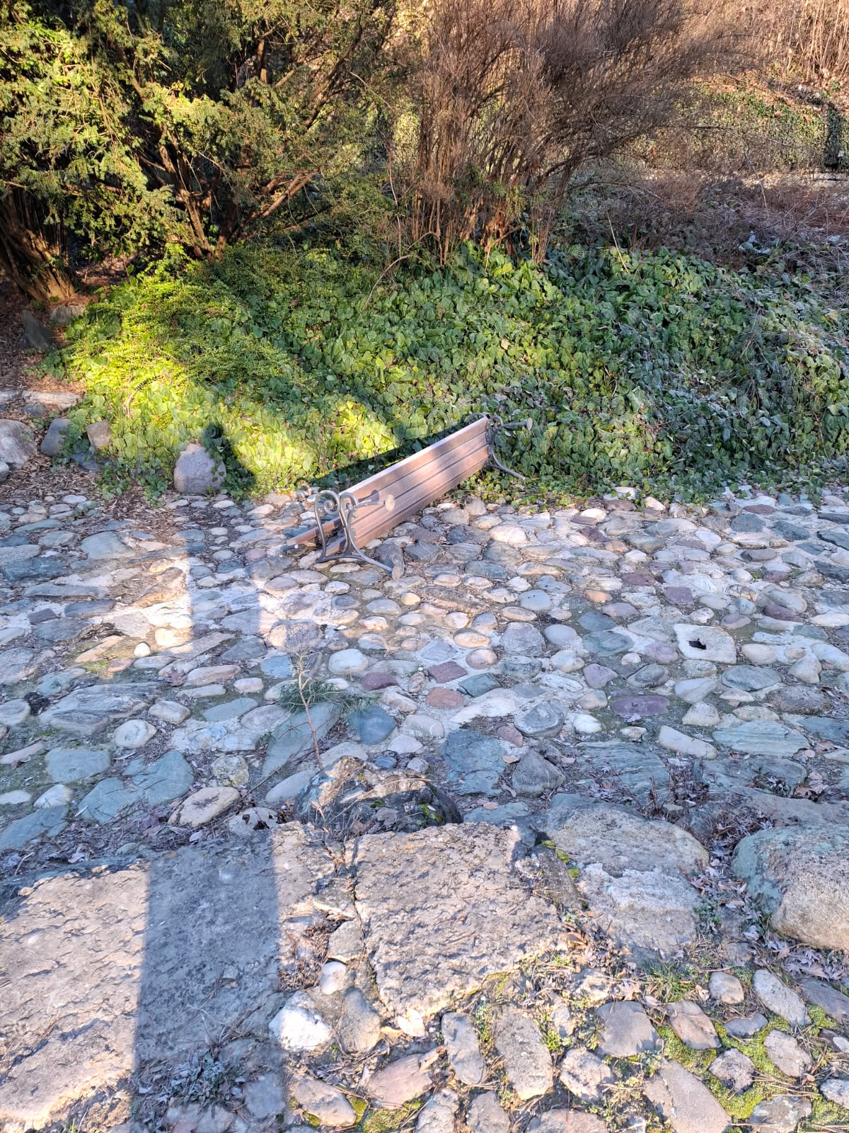 Vandalizem v Mariboru