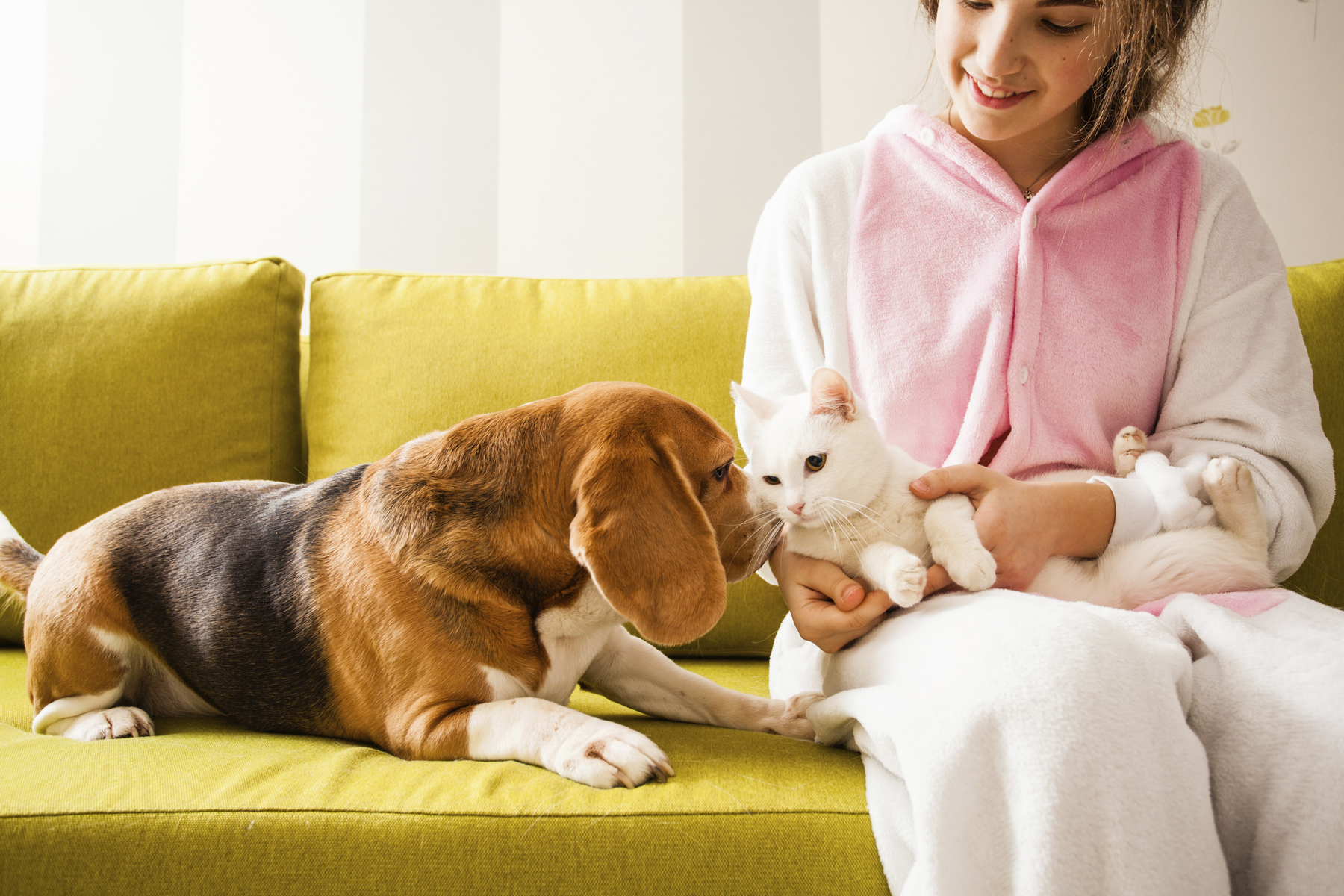 The girl with cat on the hands sits on the sofa and looking to pets