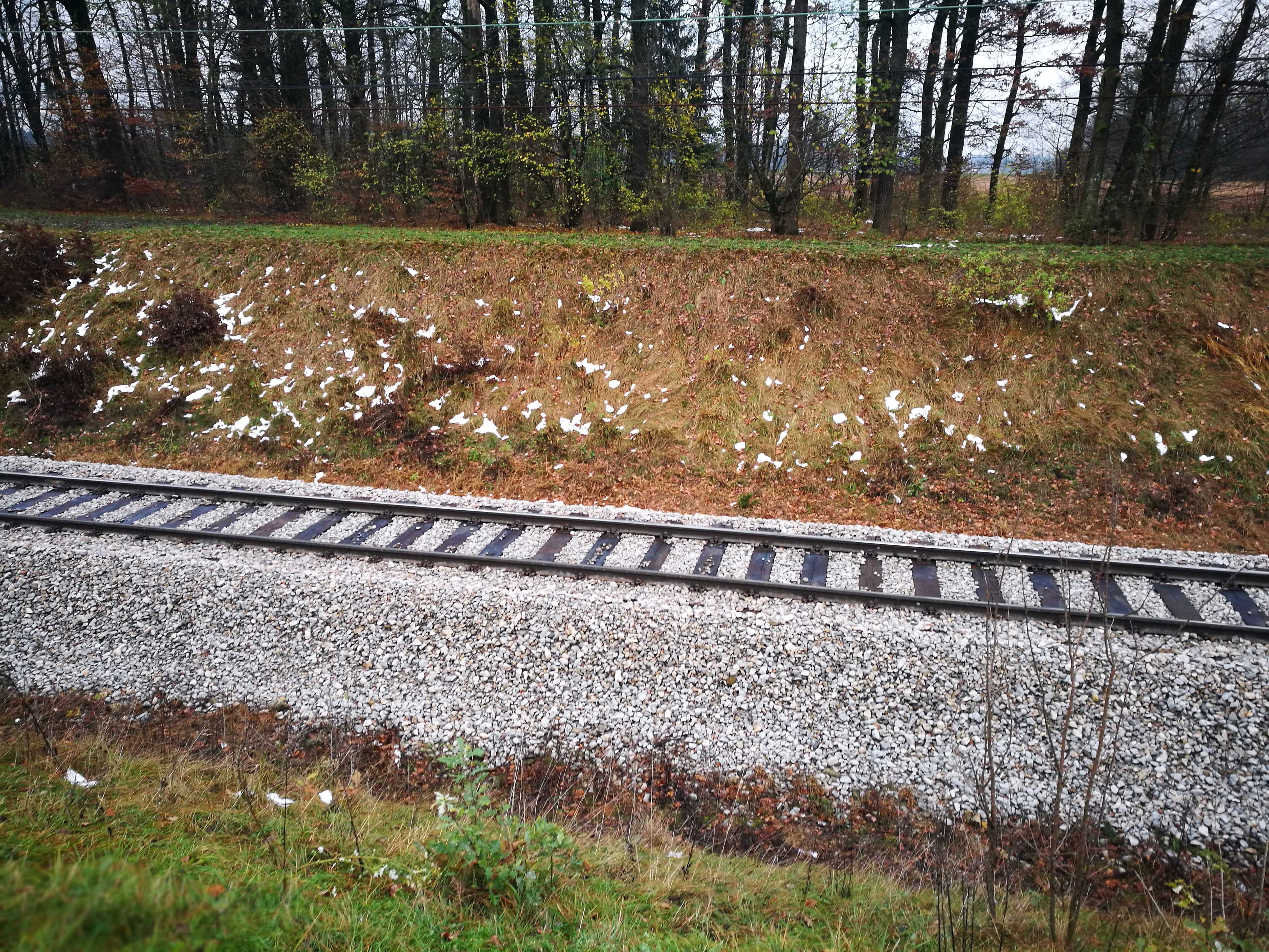 Železnica, železniška proga