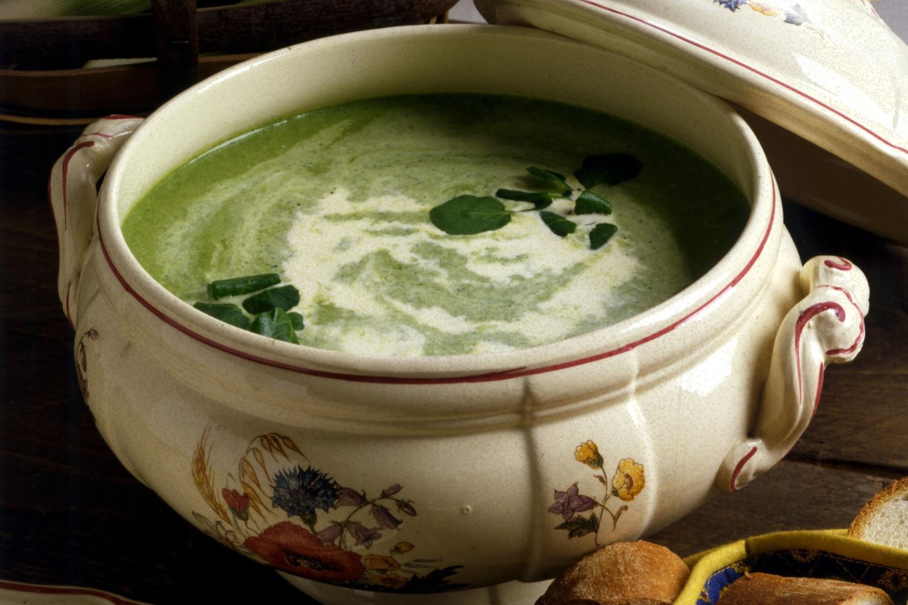 Juha iz vodne kreše