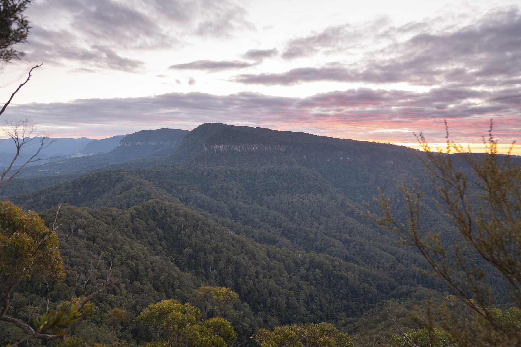 Narodni park Lamington
