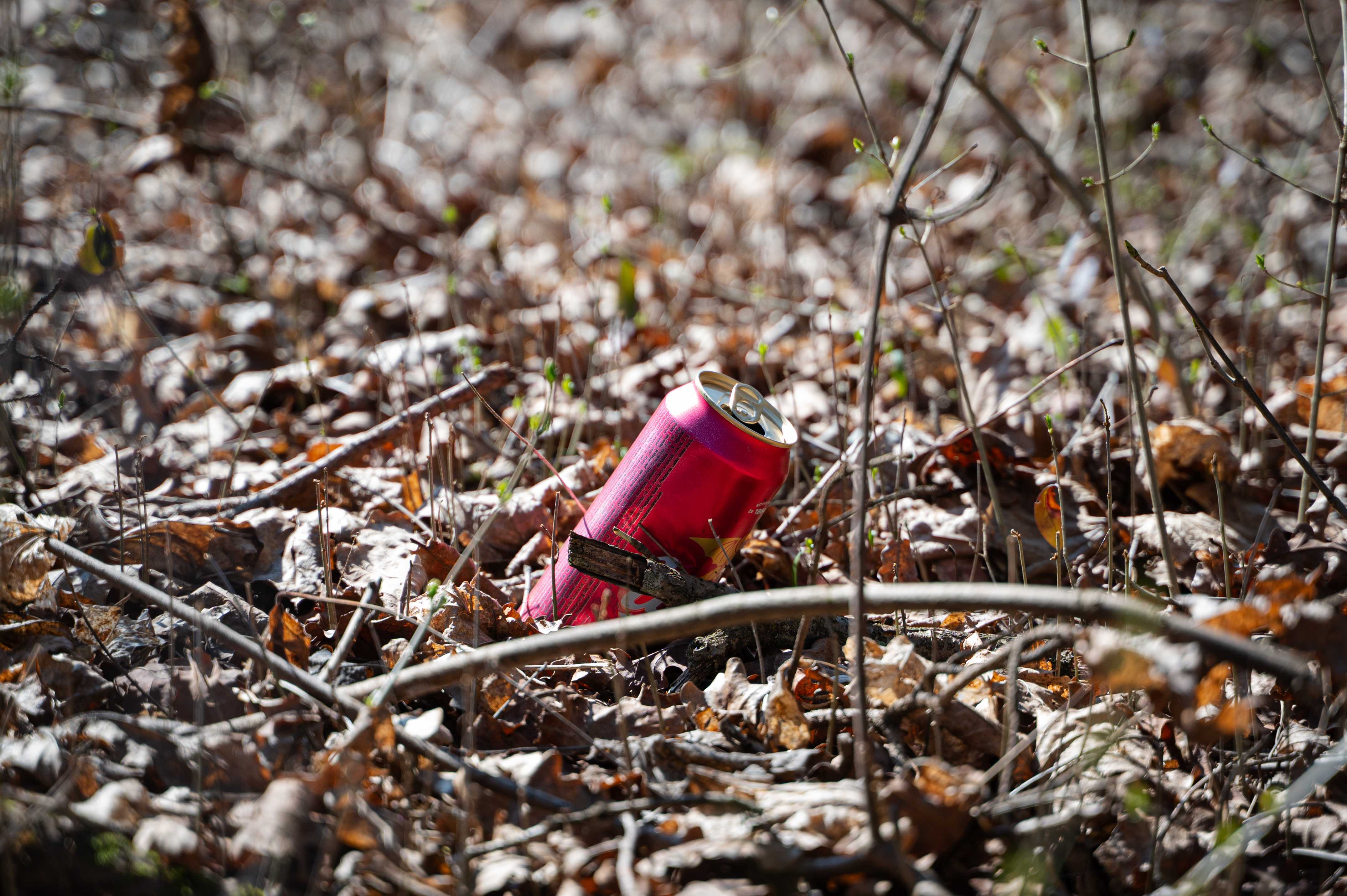 Smeti na območju Večne poti