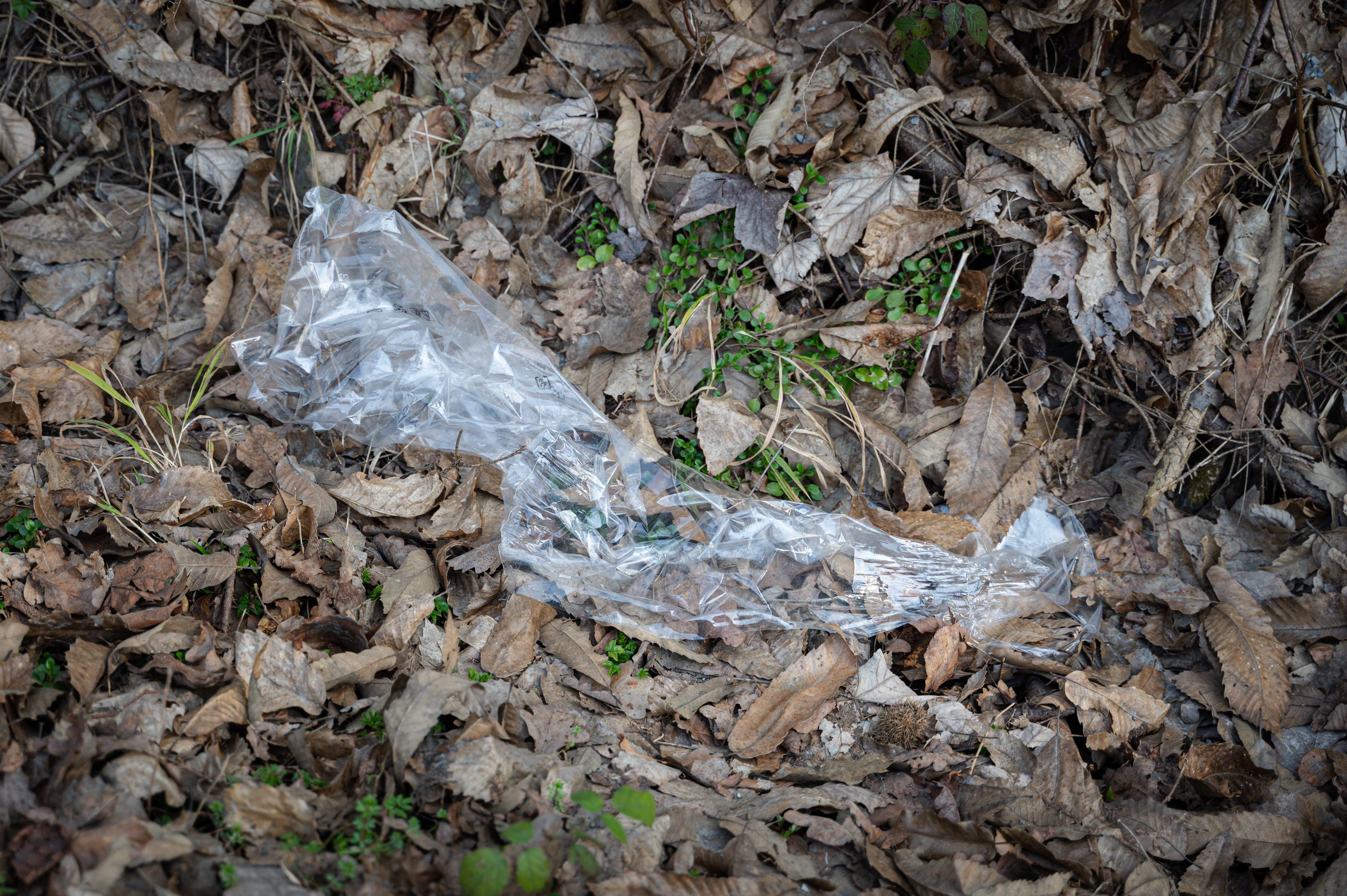 Smeti na območju Večne poti