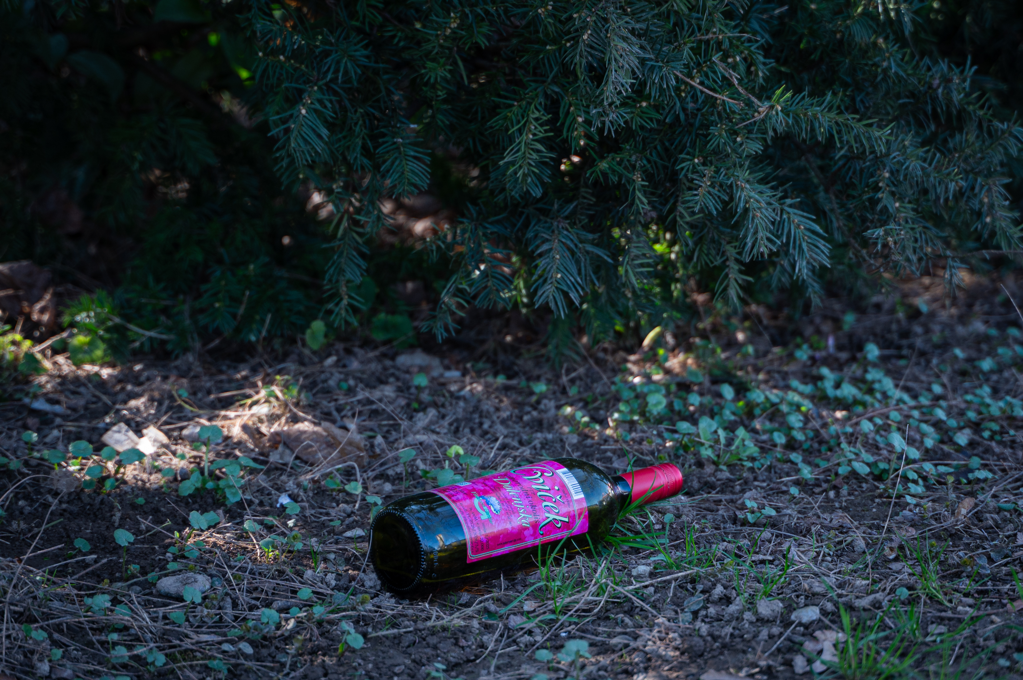 Smeti na območju Dravelj