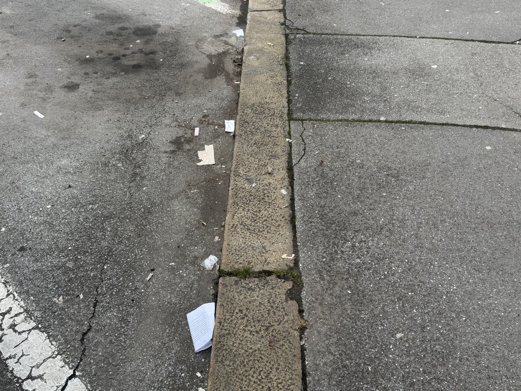 Smeti na Štefanovi ulici