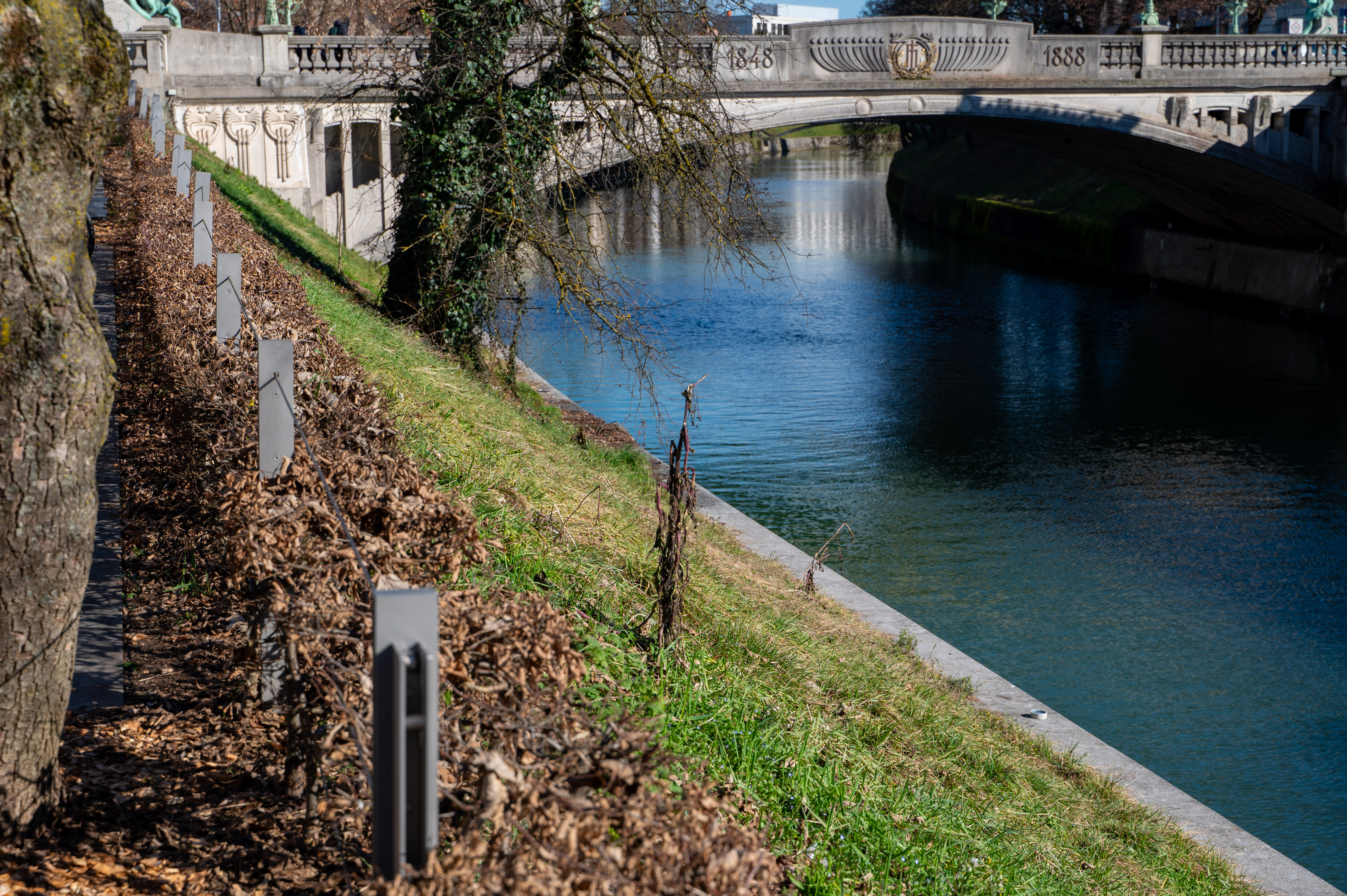 Smeti na Petkovškovem nabrežju