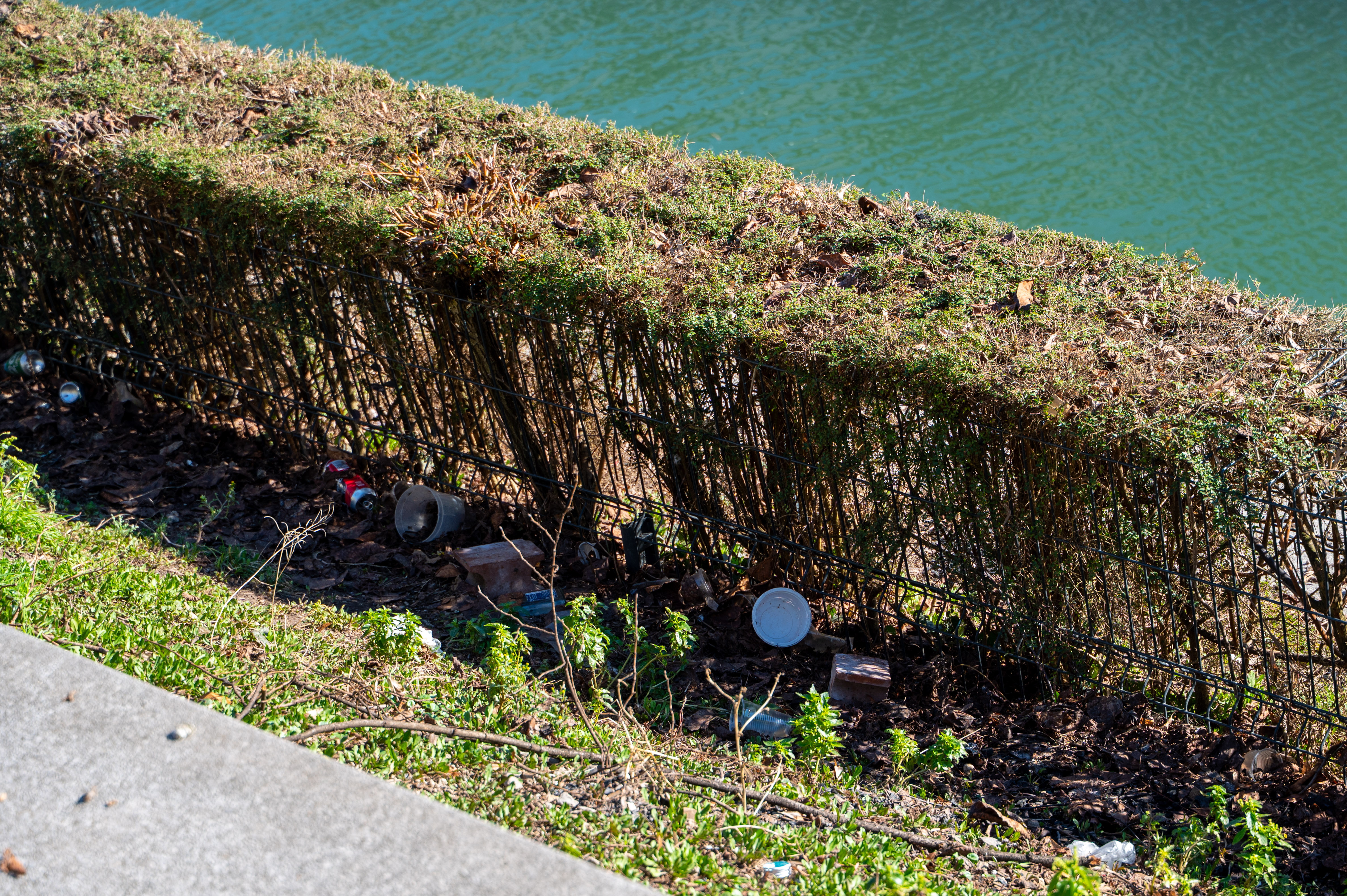 Smeti na Petkovškovem nabrežju