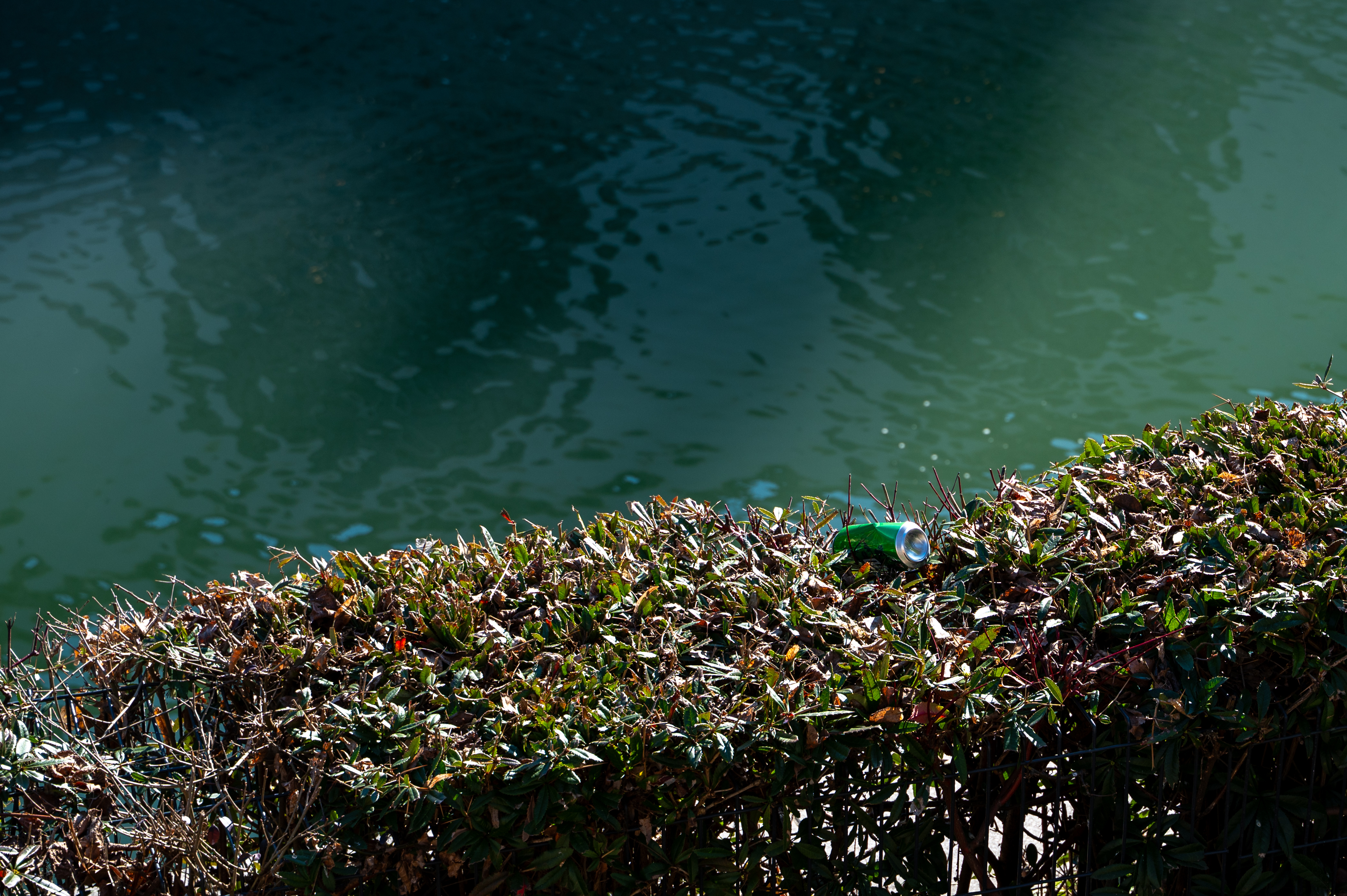 Smeti na Petkovškovem nabrežju