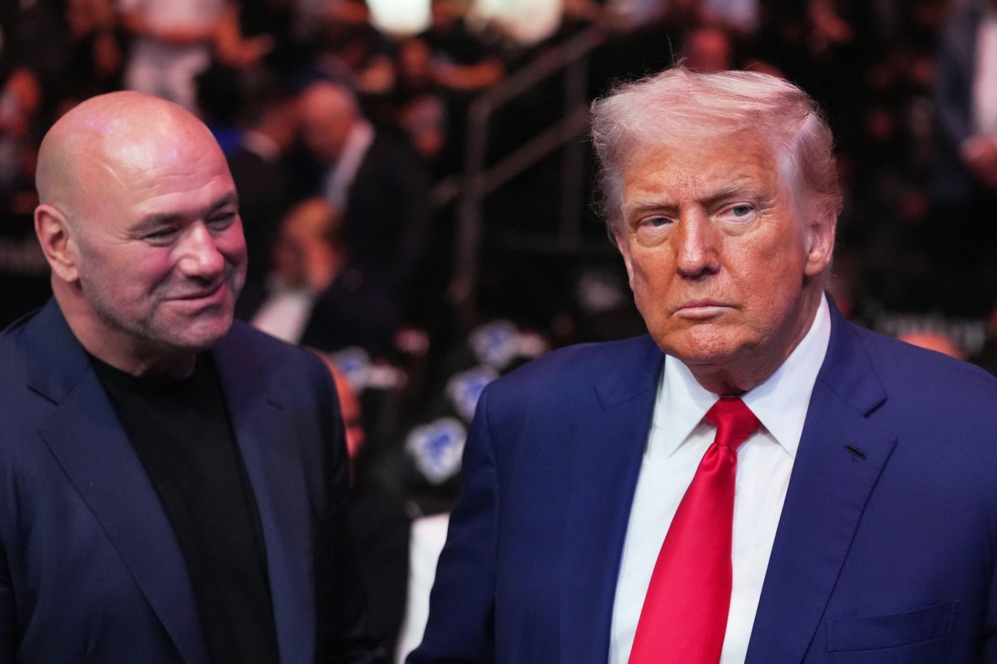 Dana White in Donald Trump