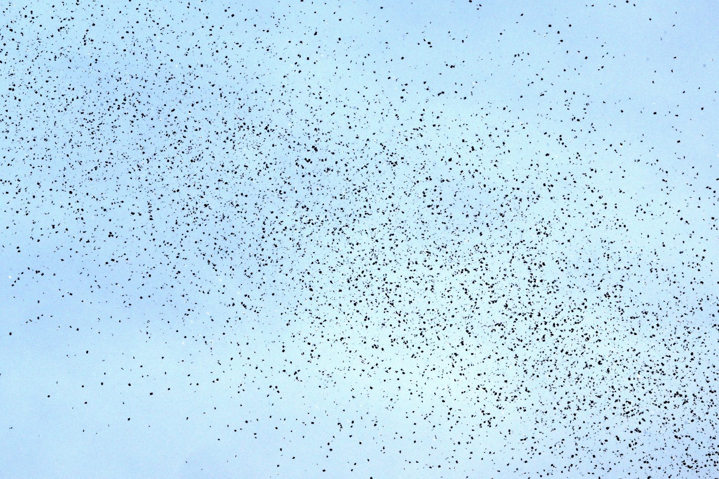 Izraelski letaki nad Bejrutom