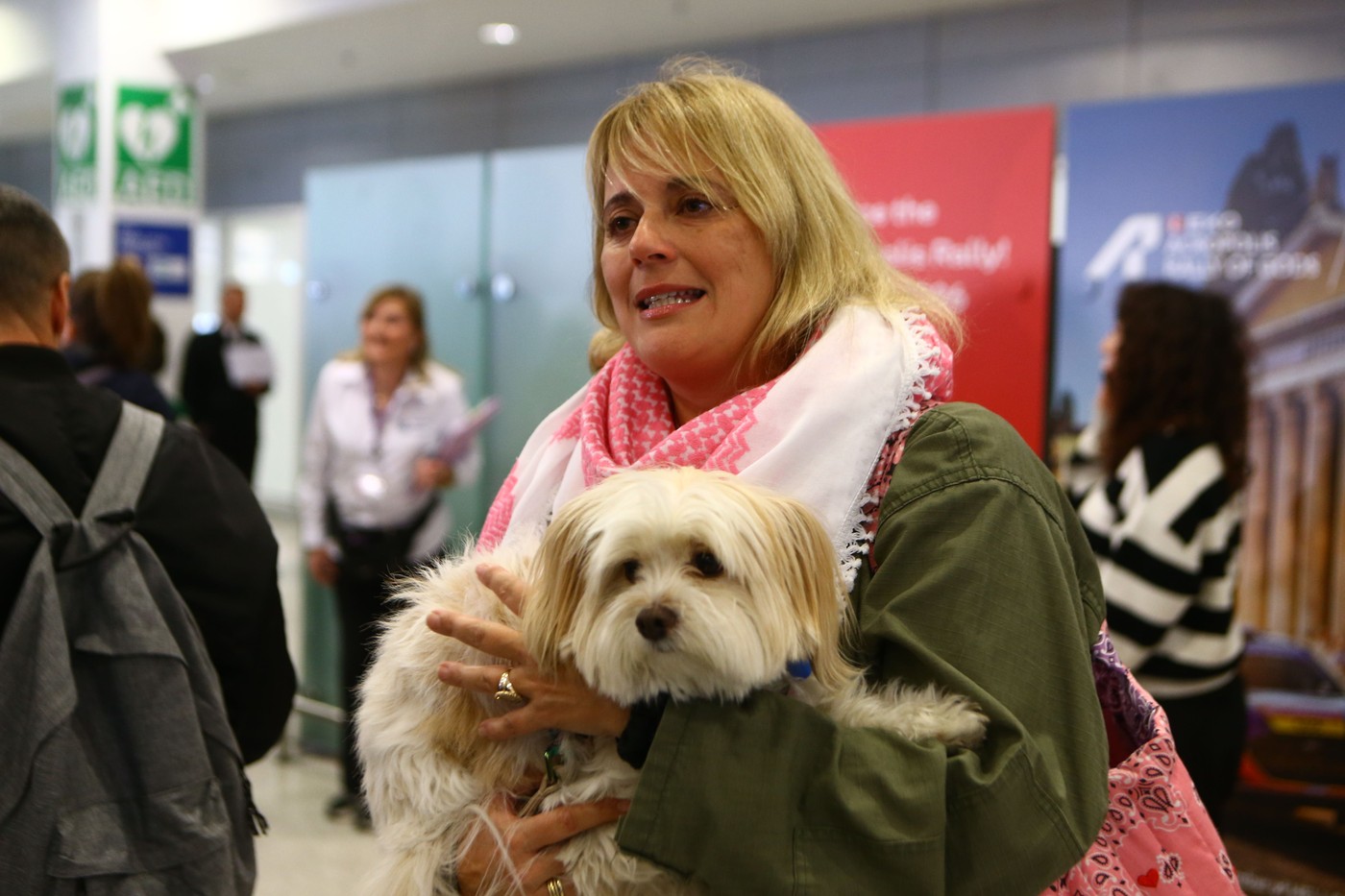 Evakuacijski let za grške hišne ljubljenčke z lastniki
