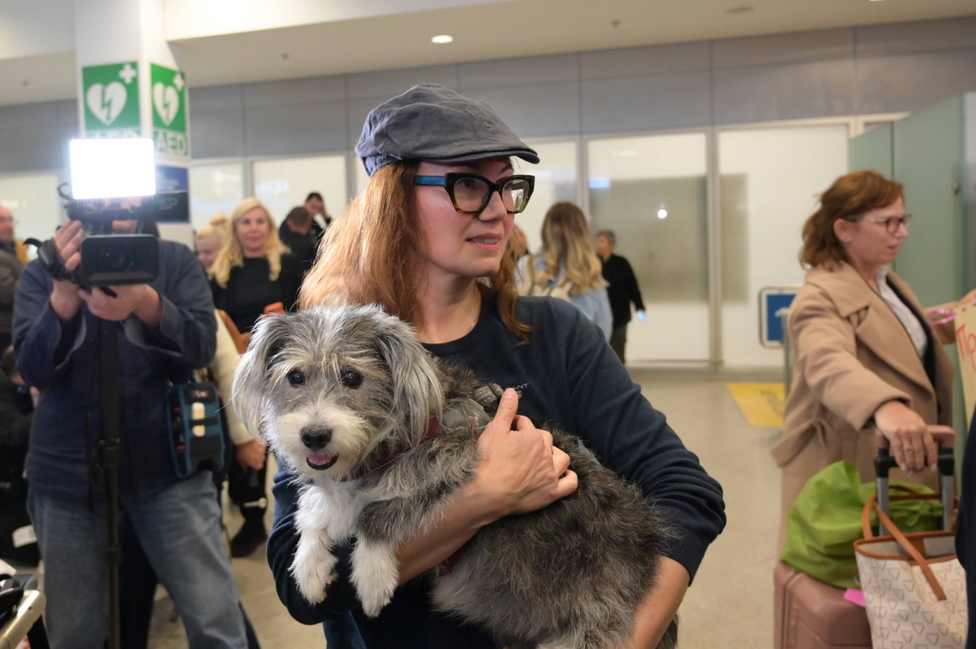 Evakuacijski let za grške hišne ljubljenčke z lastniki