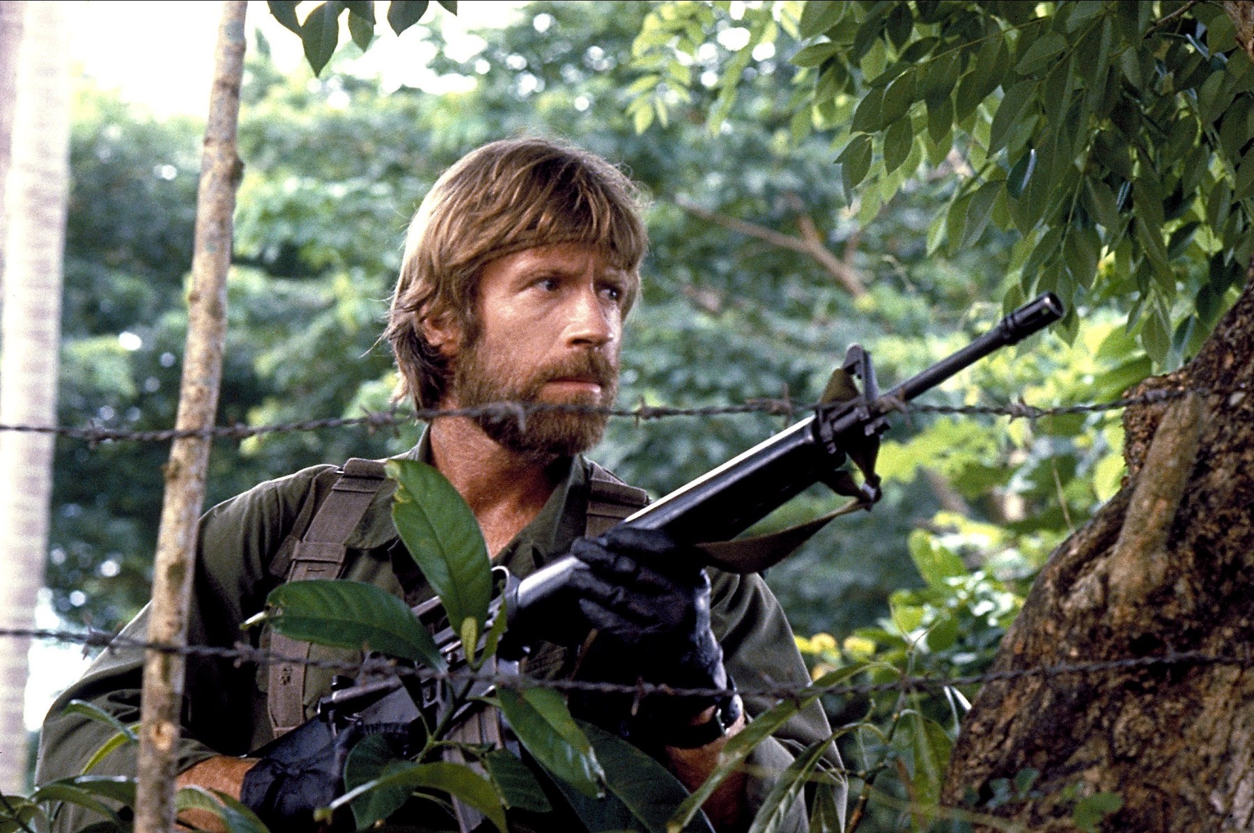 Chuck Norris, Missing in Action