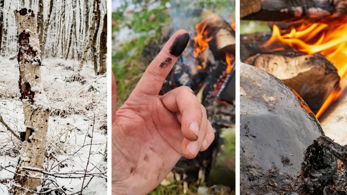 pridobivanje brezovega katrana