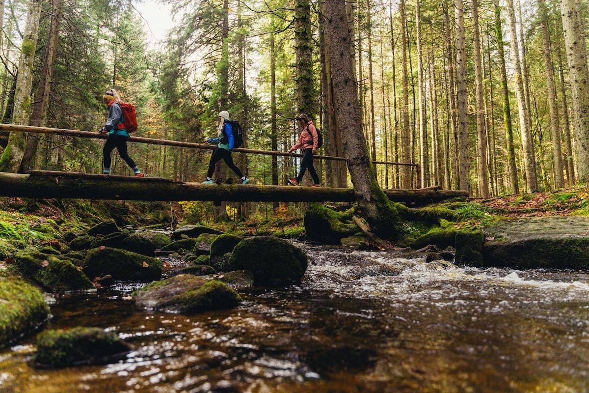 Pohorje - Kozjak Trail