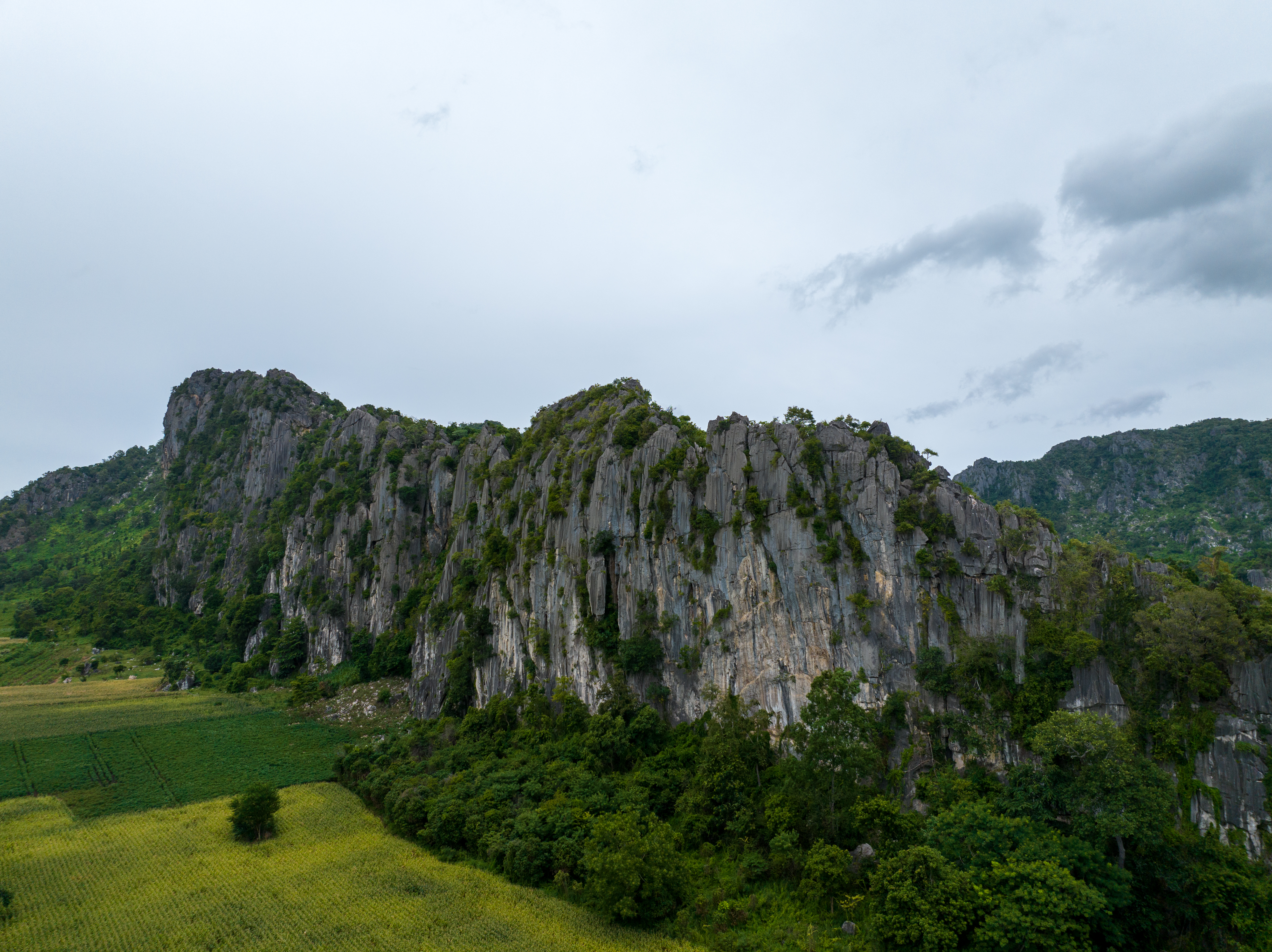 V kamboških jamah odkrili nove živalske vrste