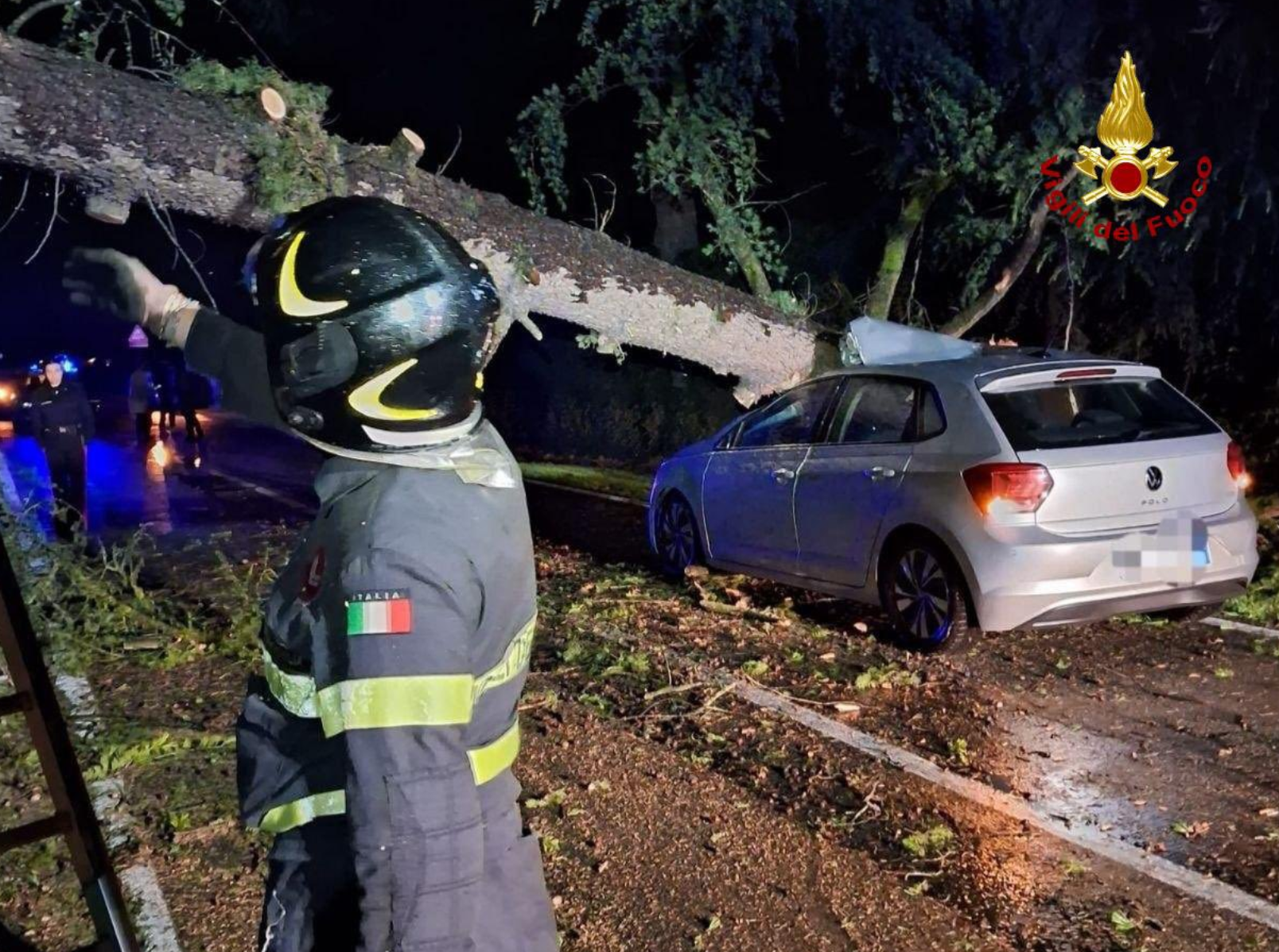 Veter rušil drevesa v Emiliji - Romanji.