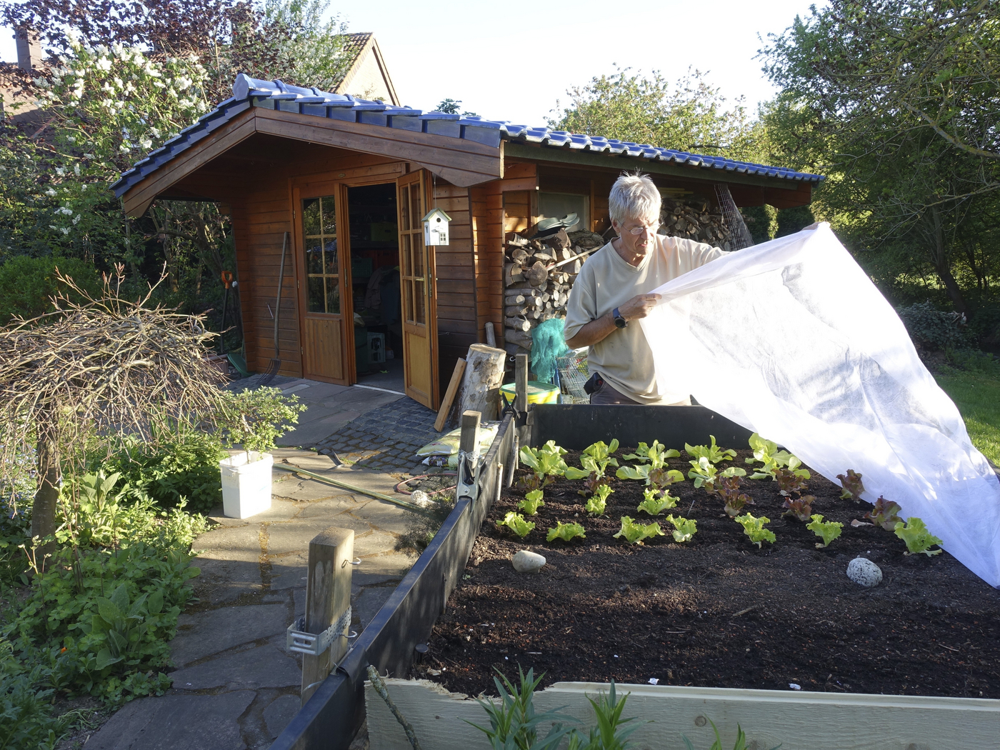 vrtnarka prekriva solato s kopreno agrokopreno