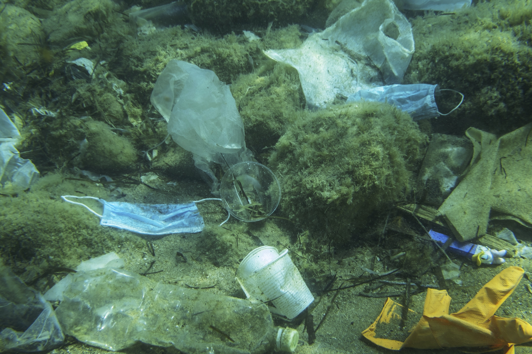 Discarded used medical face mask along with other plastic debris lies on the seabed. Plastic and other garbage polluting in the Adriatic Sea. Becici, Budva Municipality, Montenegro,Image: 567086641, License: Royalty-free, Restrictions: , Model Release: no
