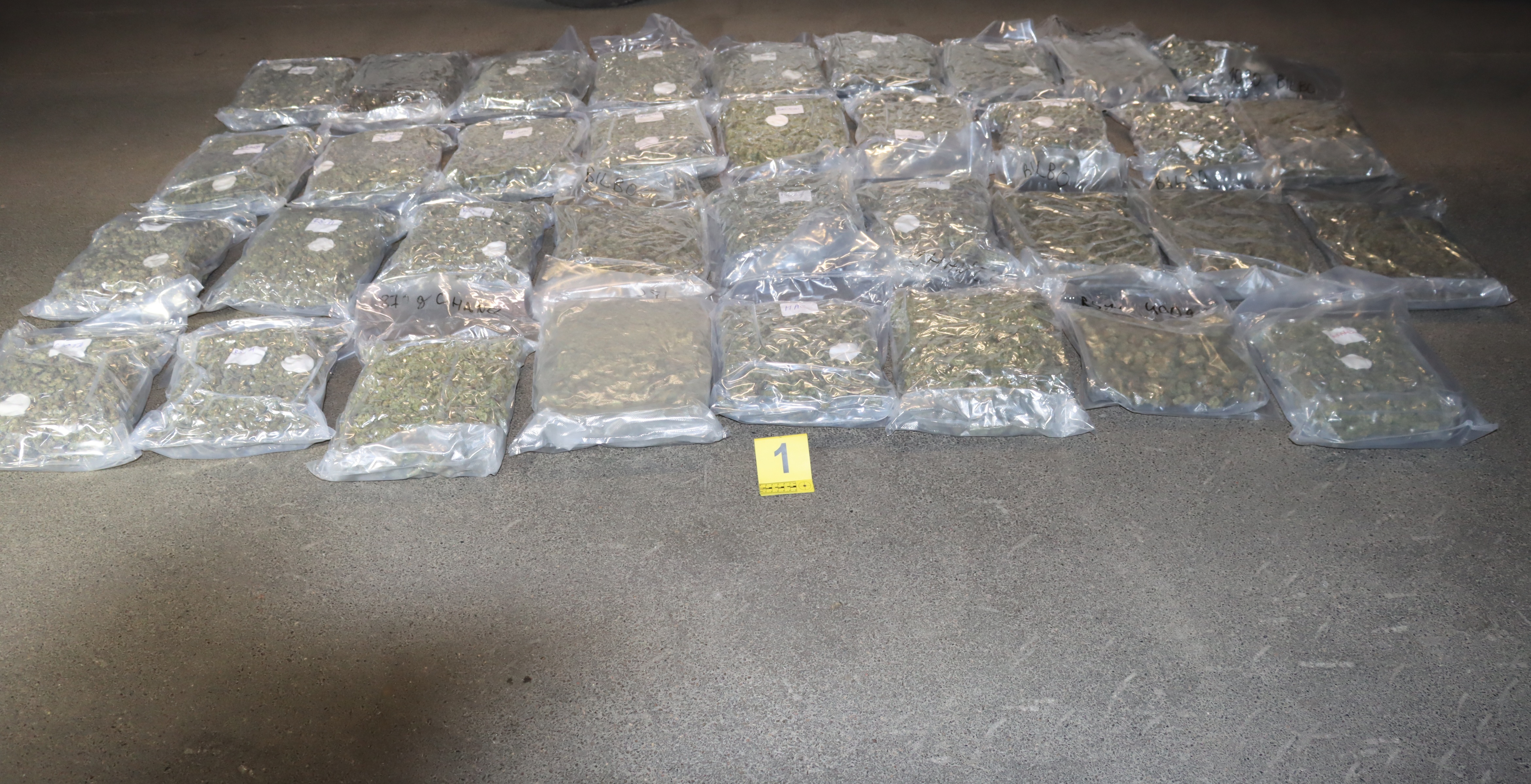 Zaseg prepovedanih drog