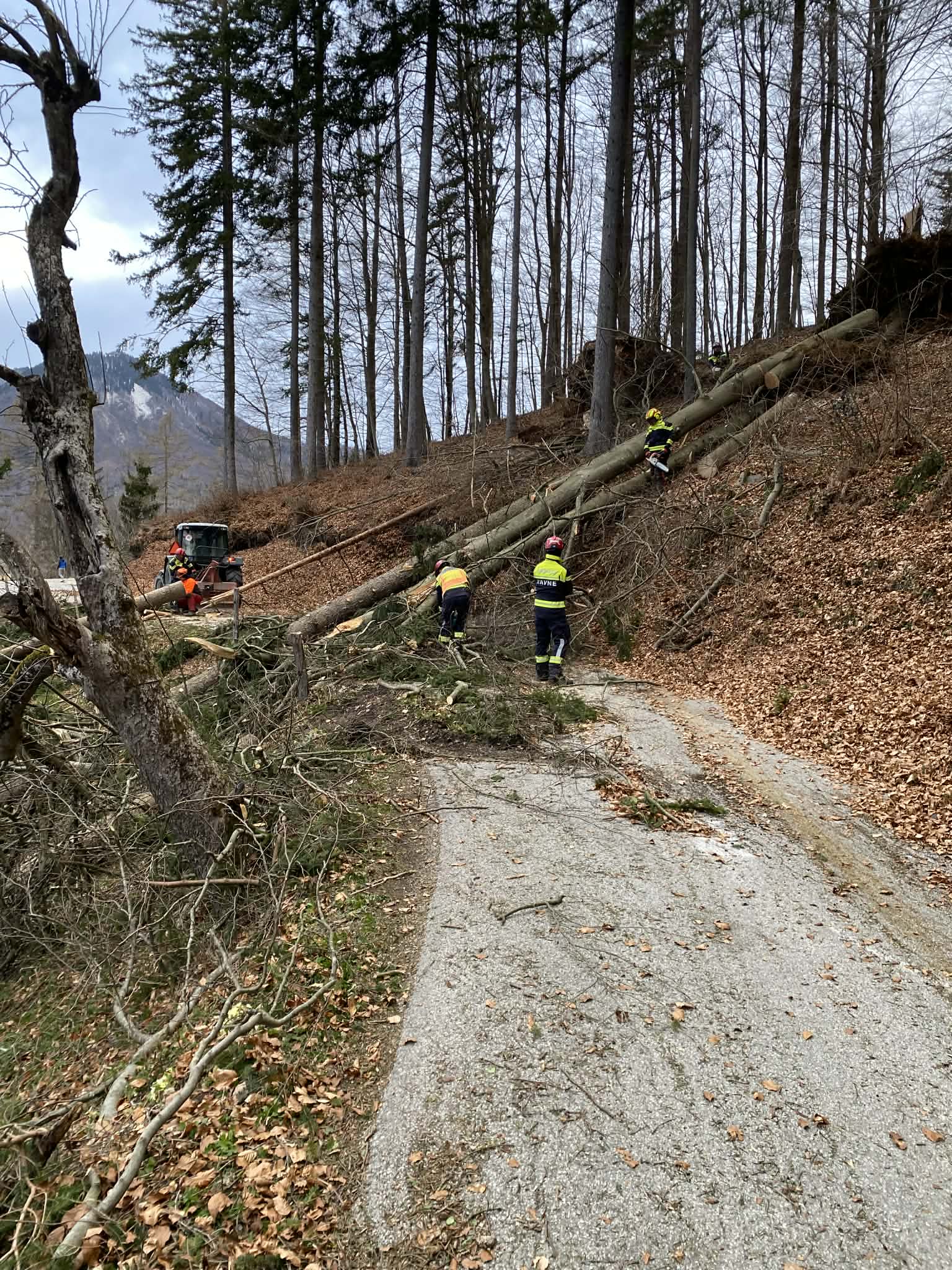 Odpravljanje posledic vetra na Cerkljanskem