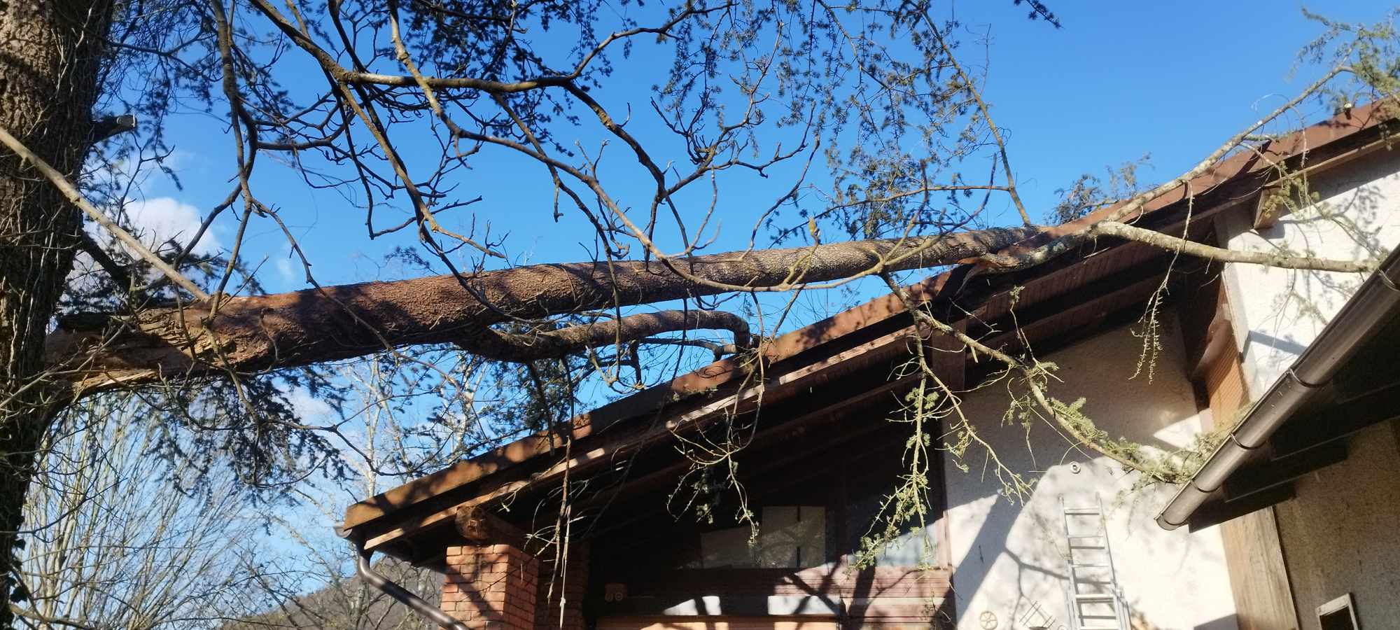 Posledice vetroloma v Cerknem