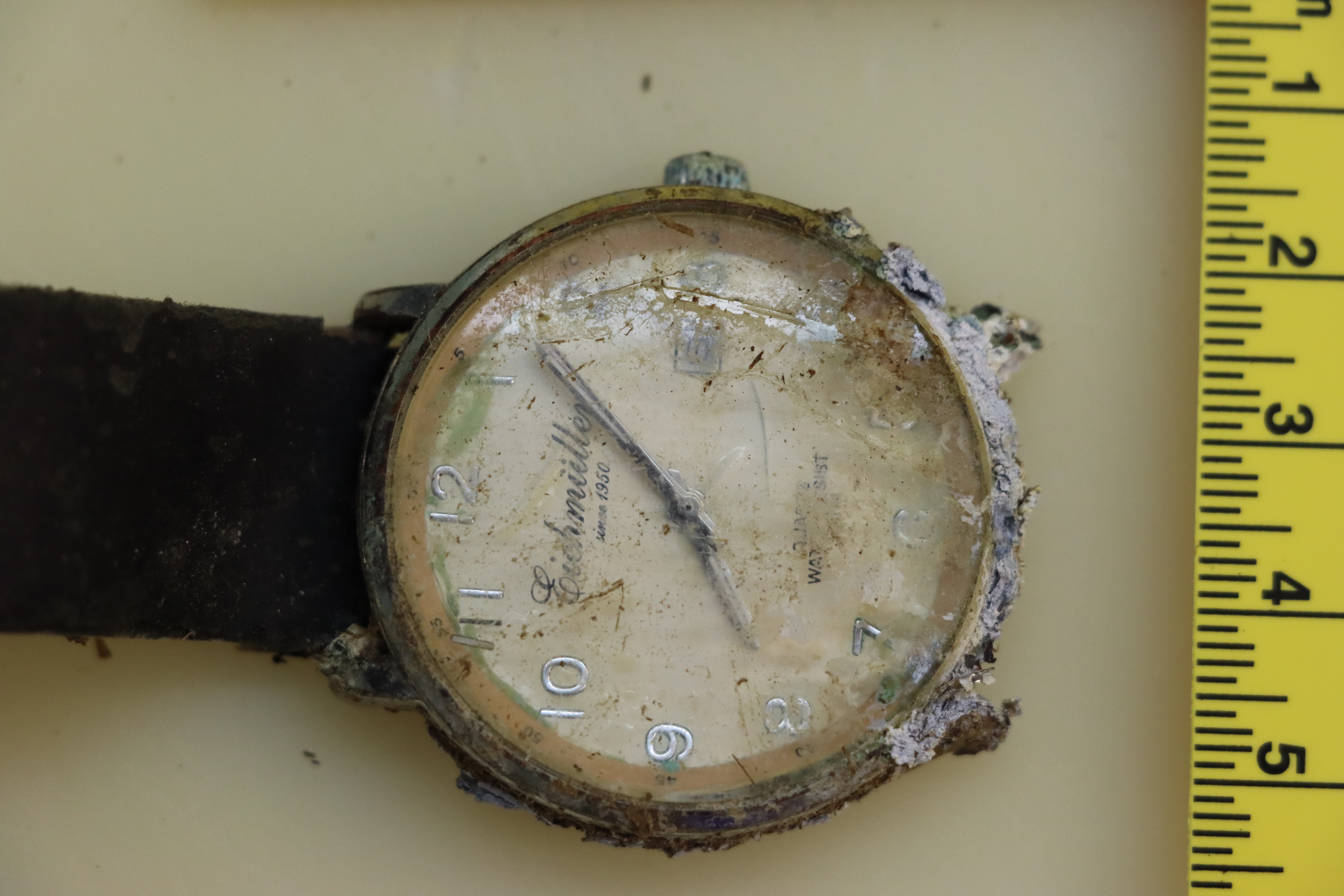 Najdeni posmrtni ostanki