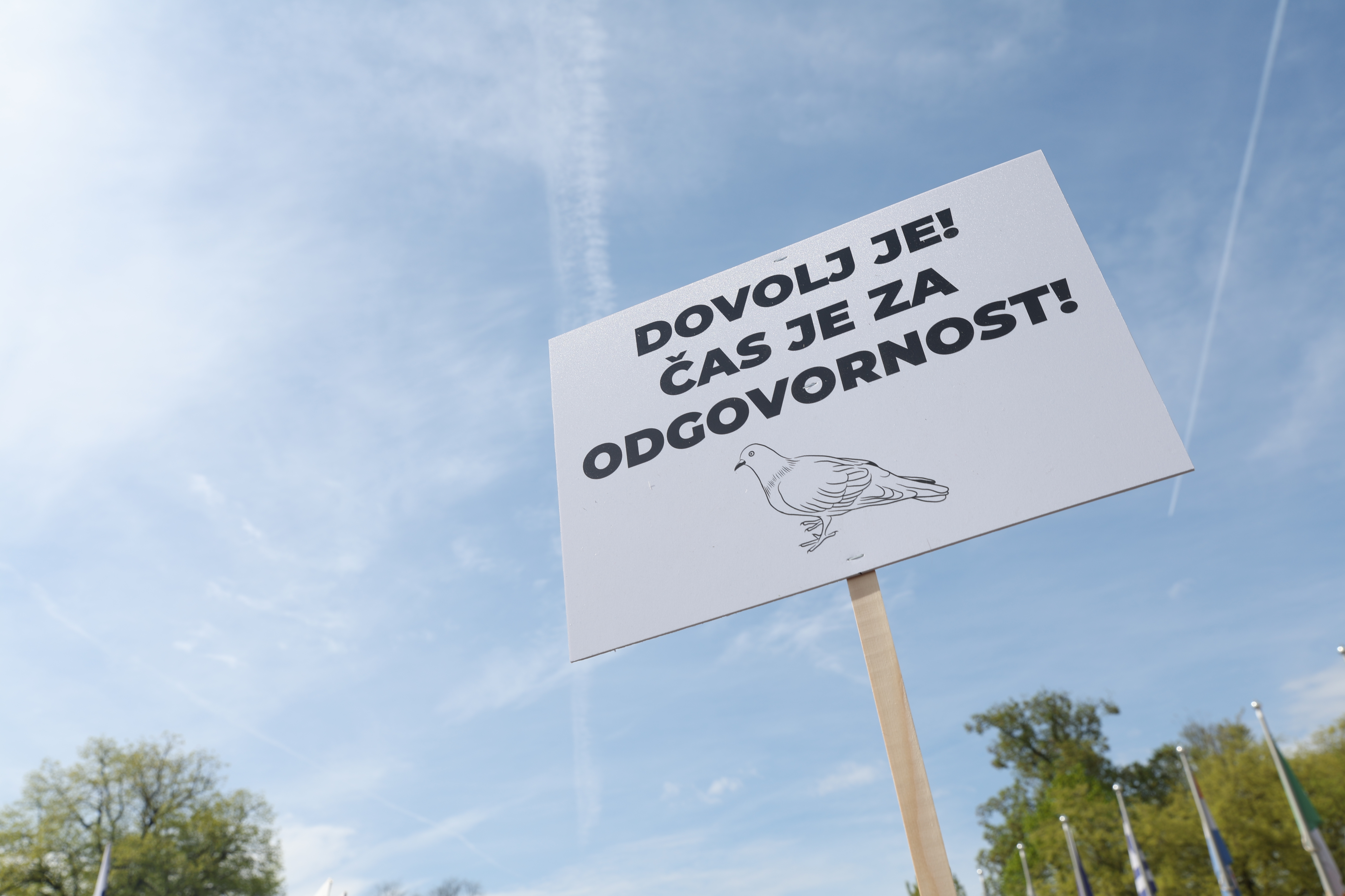 Veliki protikorupcijski shod