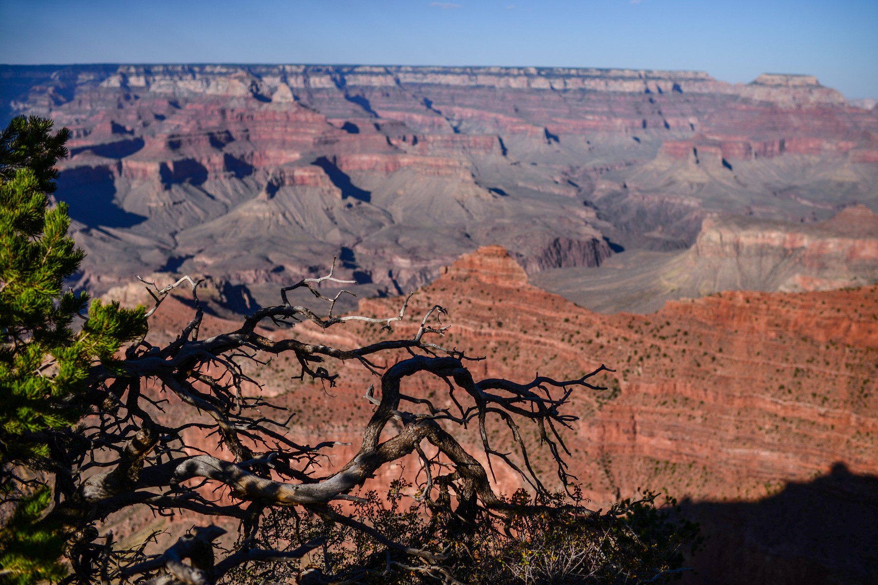 Panoramic view of Grand Canyon landscapes show vast vistas and layered rock formations,Image: 999862494, License: Rights-managed, Restrictions: , Model Release: no