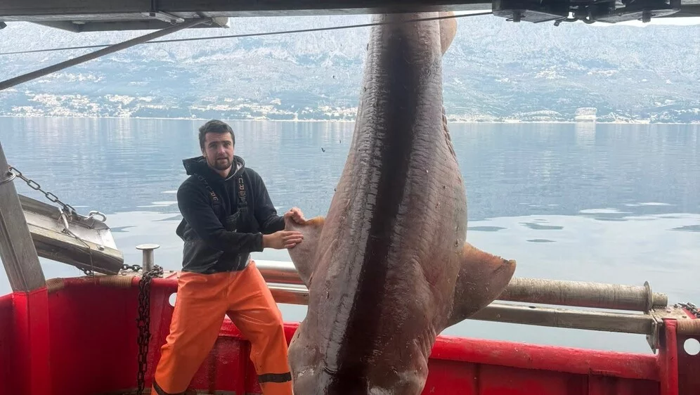 Ribiči pri Braču ujeli nekaj, kar jih je pustilo brez besed (VIDEO)