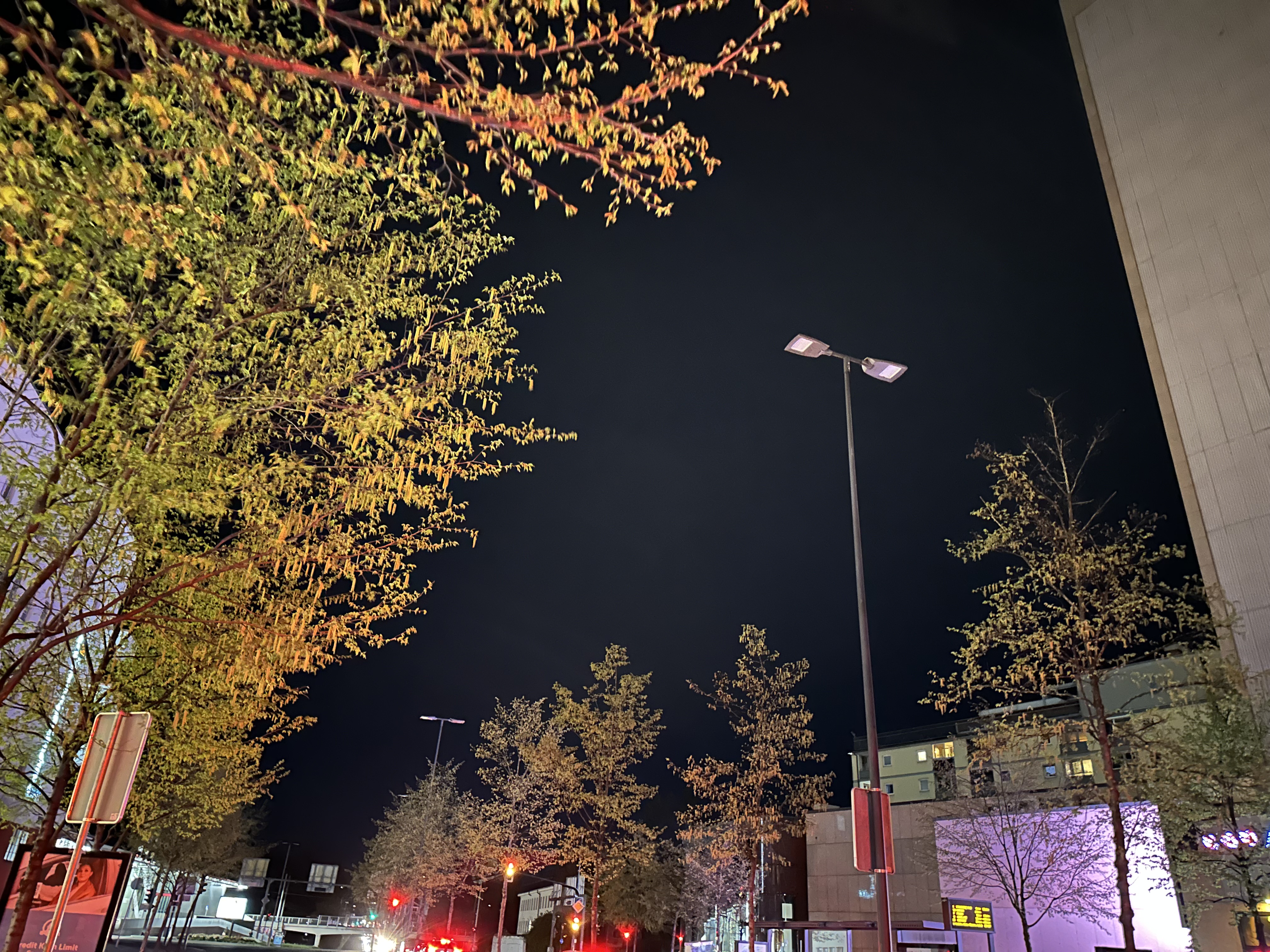 Ljubljana brez javne razsvetljave