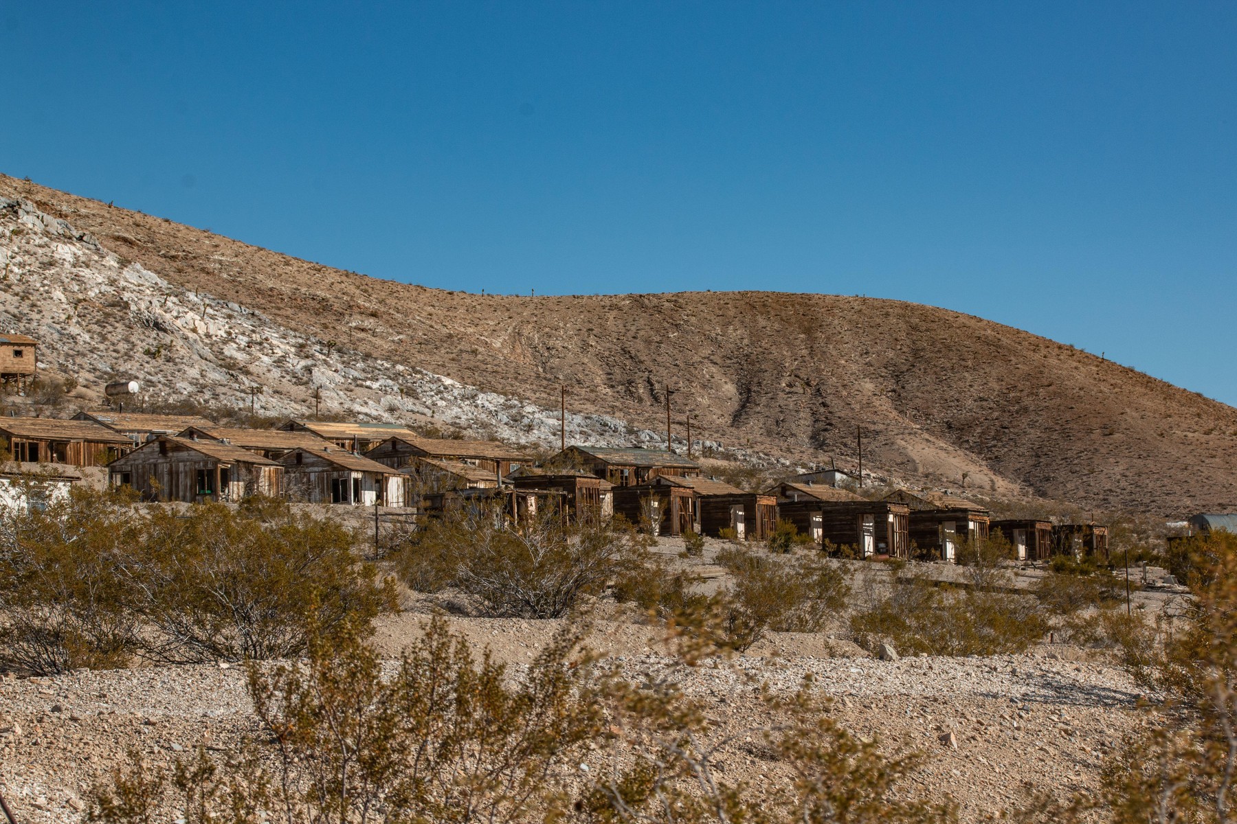 Mestece Darwin v Kaliforniji