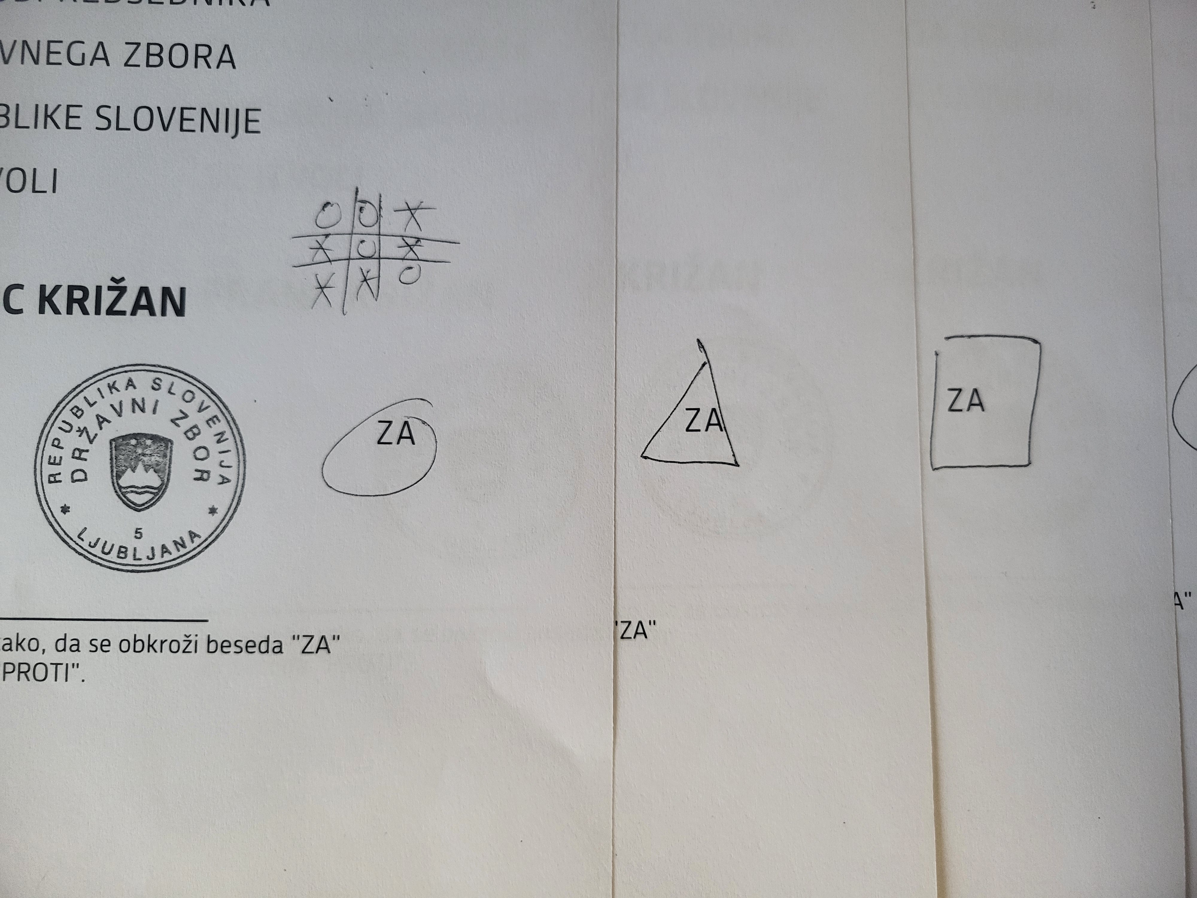 Glasovanje v državnem zboru