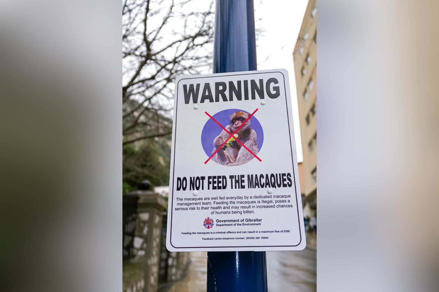 Izdelek brez naslova