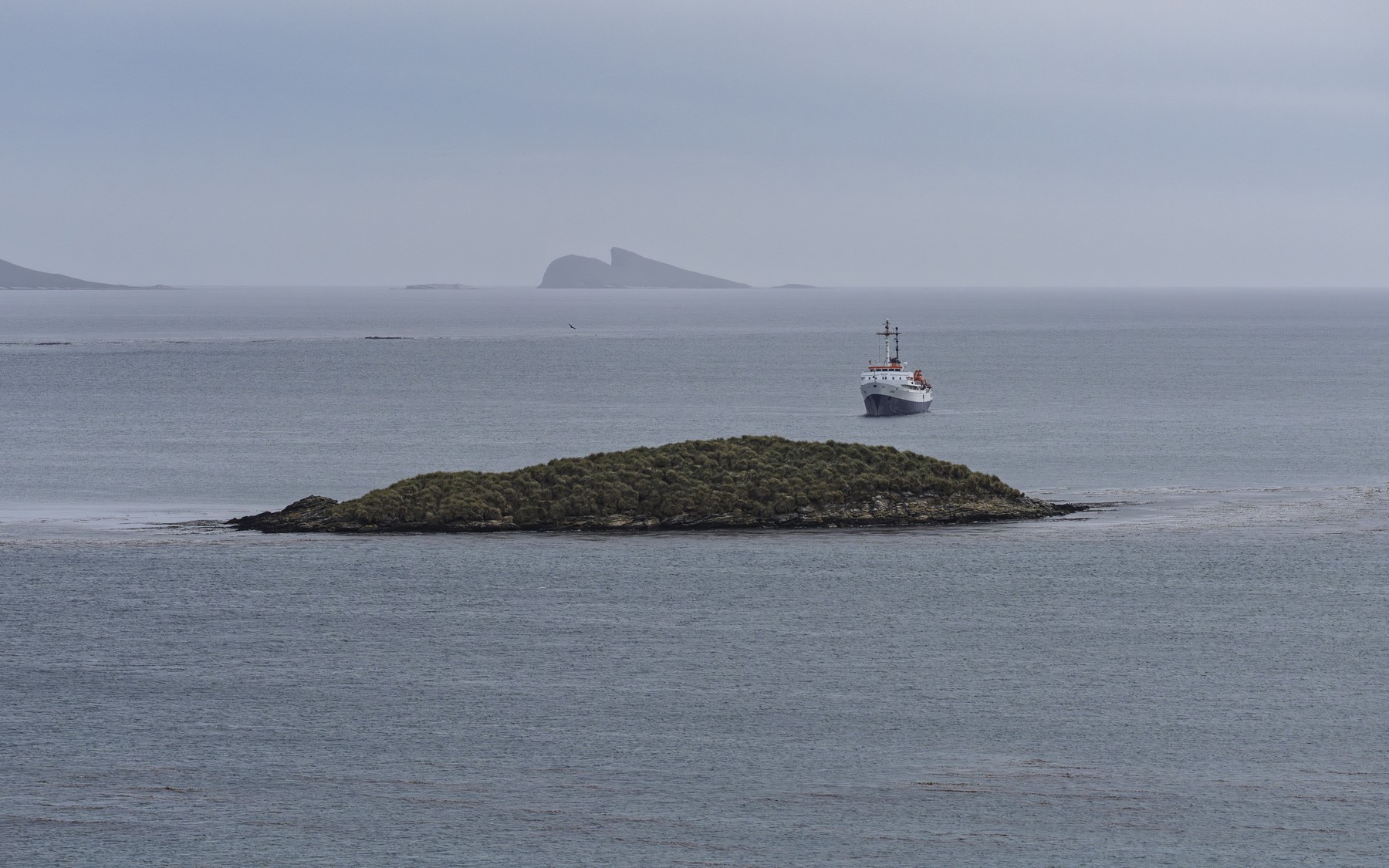 Expedition ship  Carcass Island, Falkland Islands,Image: 1094157062, License: Royalty-free, Restrictions: , Model Release: no