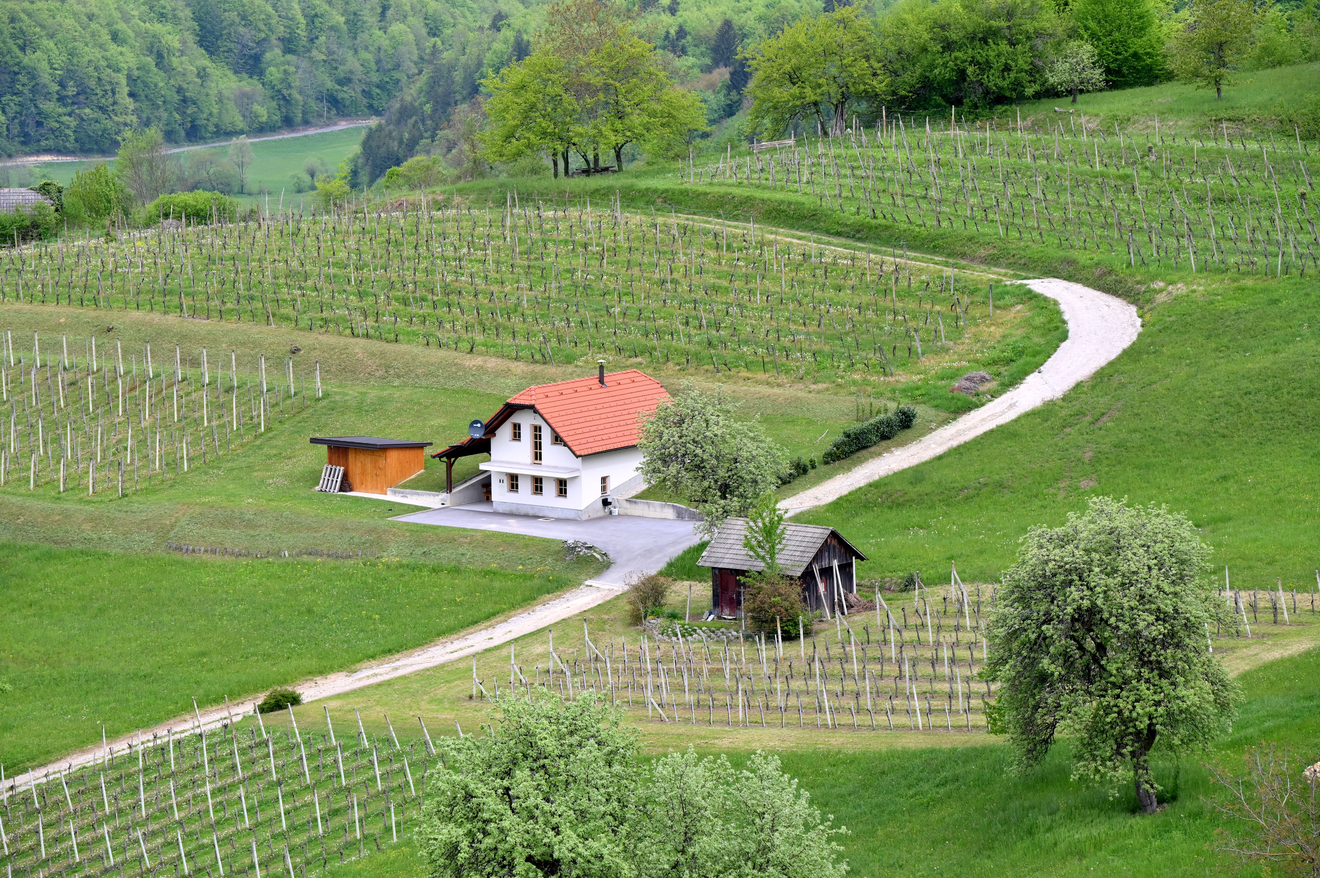 Vinogradi pri Šmarjeških toplicah