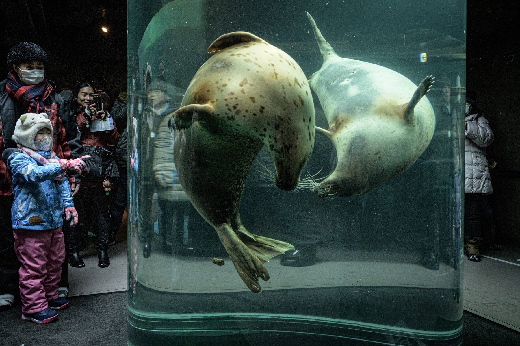 Živalski vrt Asahiyama