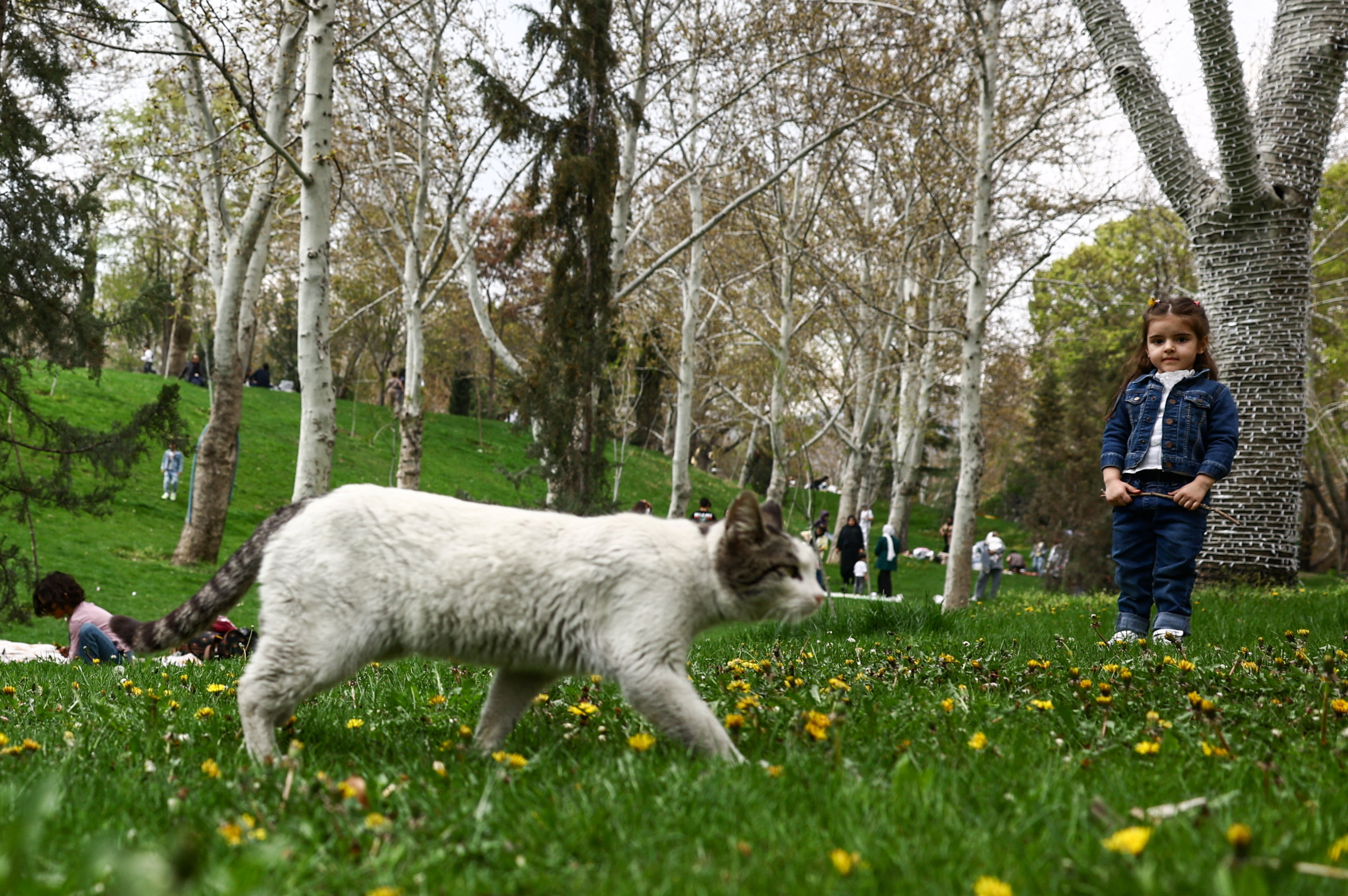 Punčka v parku v Teheranu