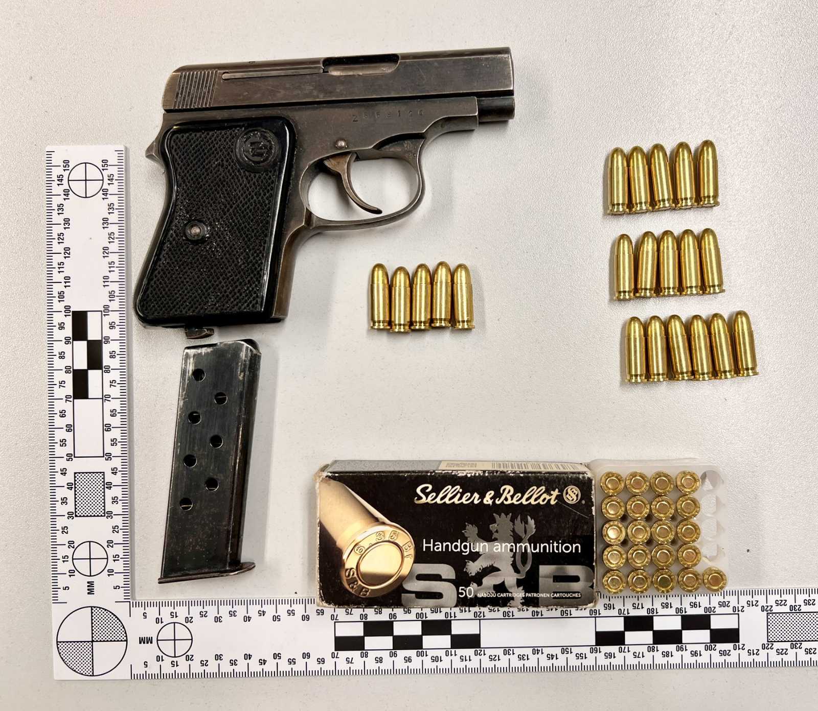 Zaseženo orožje v Grosupljem