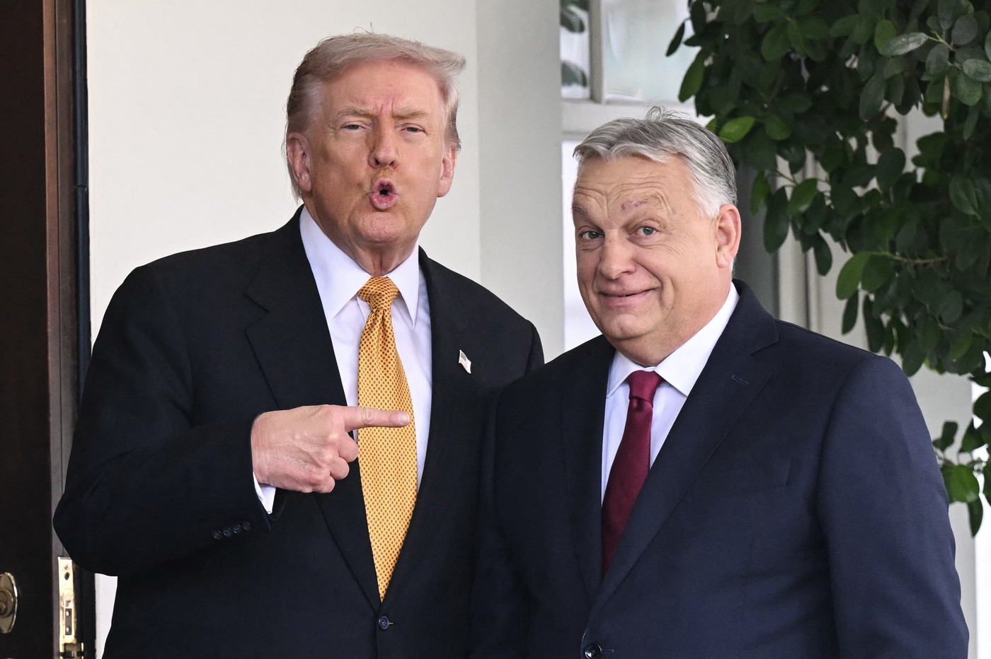 Donald Trump in Viktor Orban