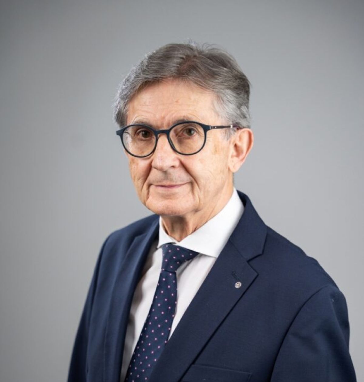 Franc Križan, Demokrati