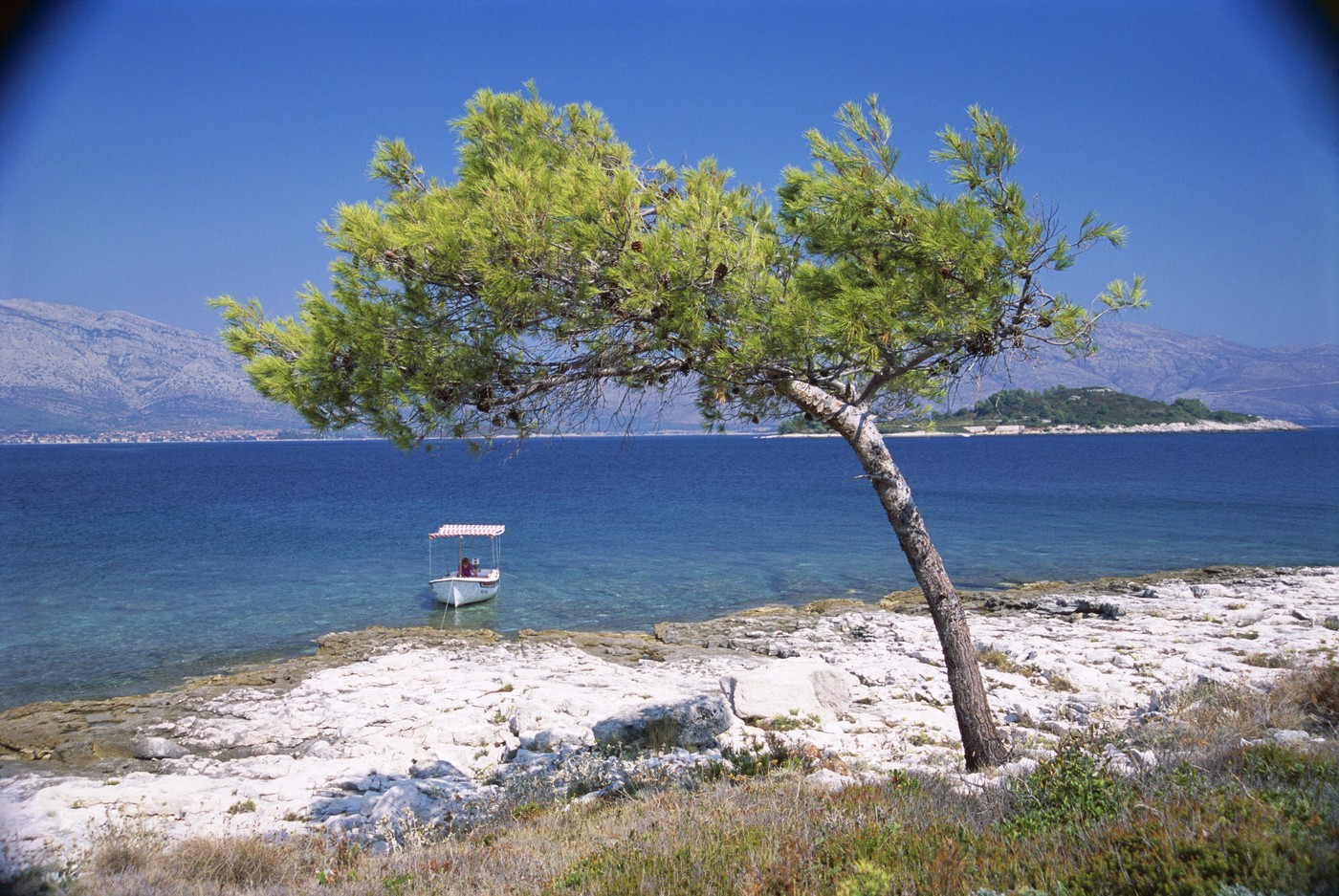 Lumbarda, Korčula