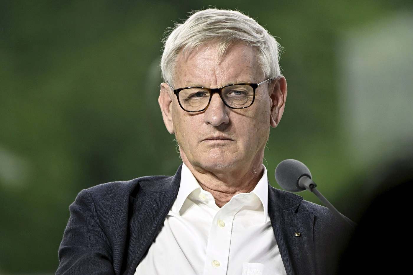 Carl Bildt