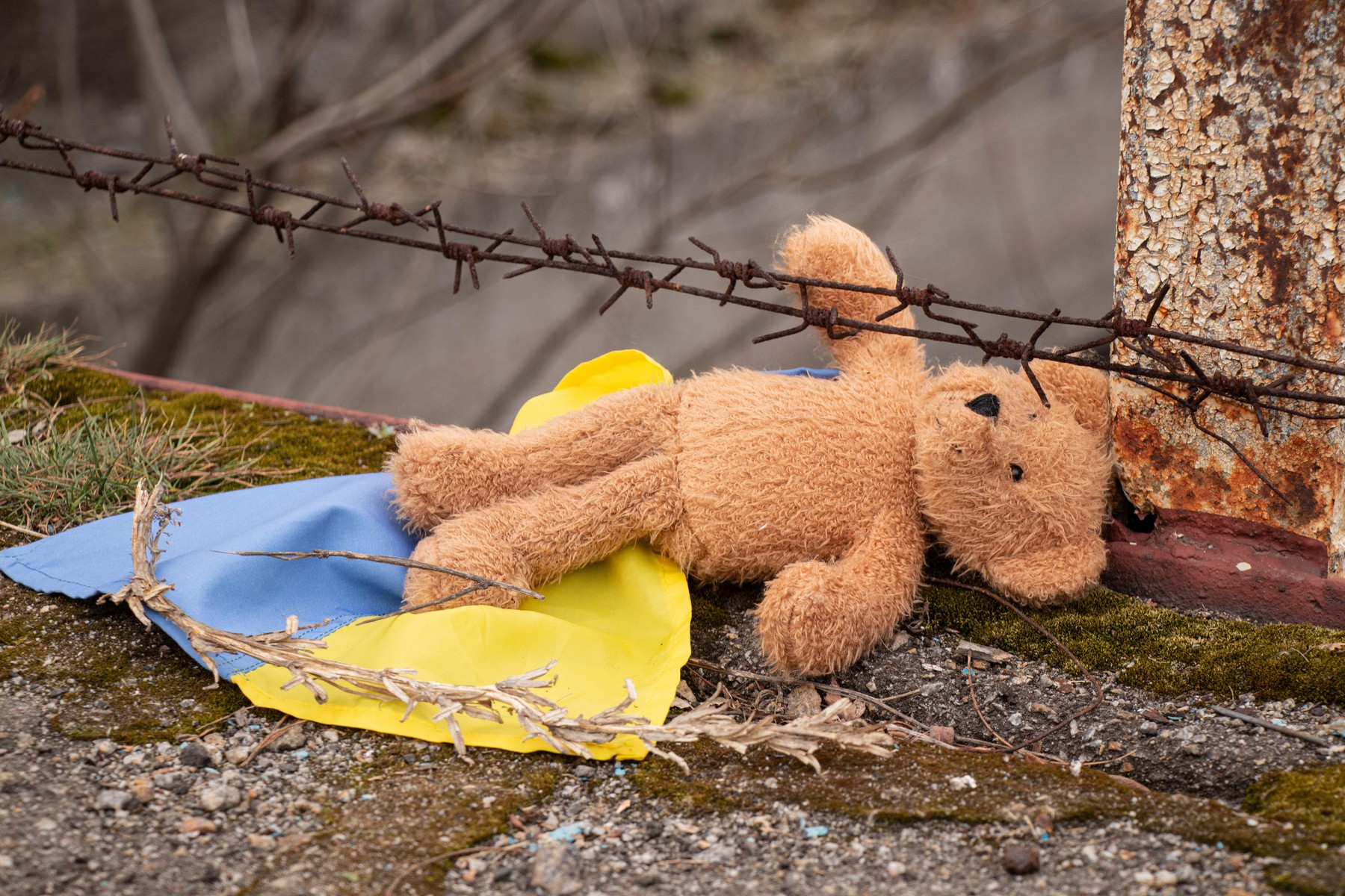 EU je danes sprejela sankcije proti 16 posameznikom in sedmim organizacijam, ki jim med drugim pripisuje odgovornost za prisilno deportacijo ukrajinskih otrok