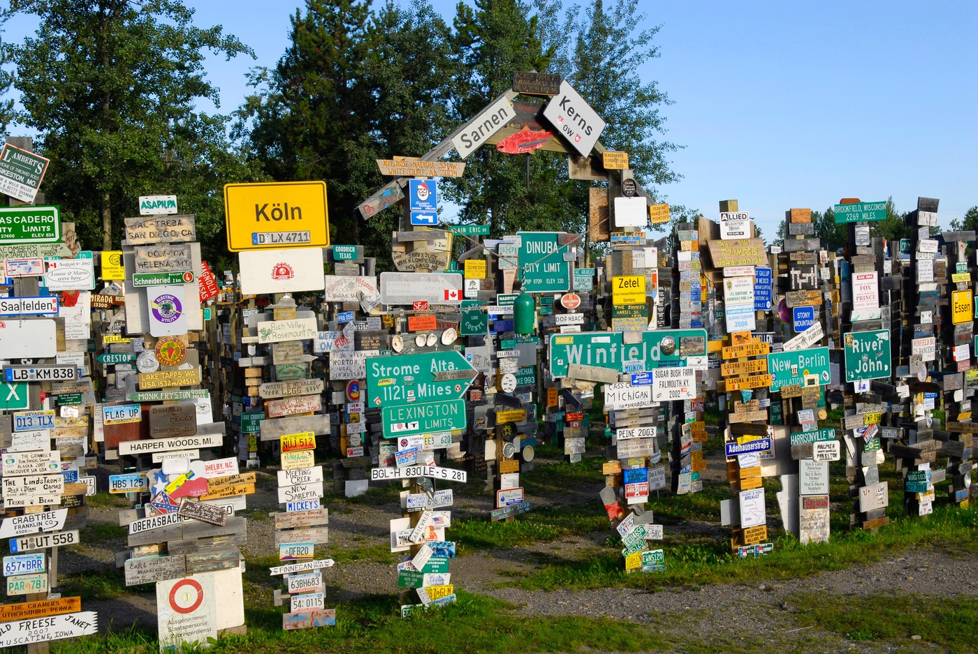 Sign forest