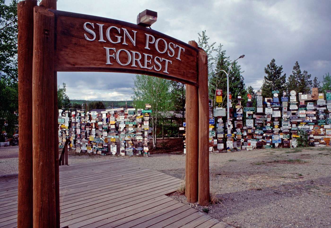 Sign forest