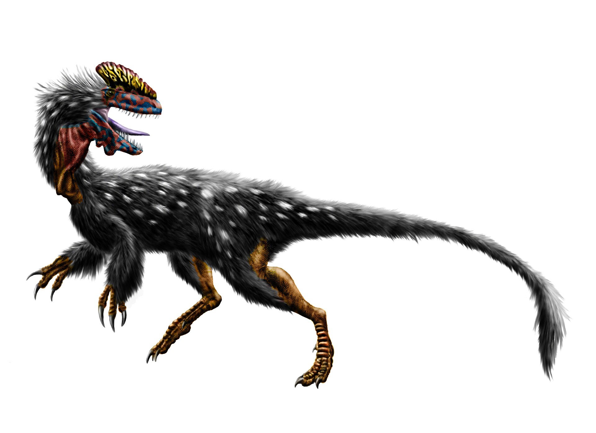 Guanlong, eden od zgodnejših predstavnikov družine tiranozavrov