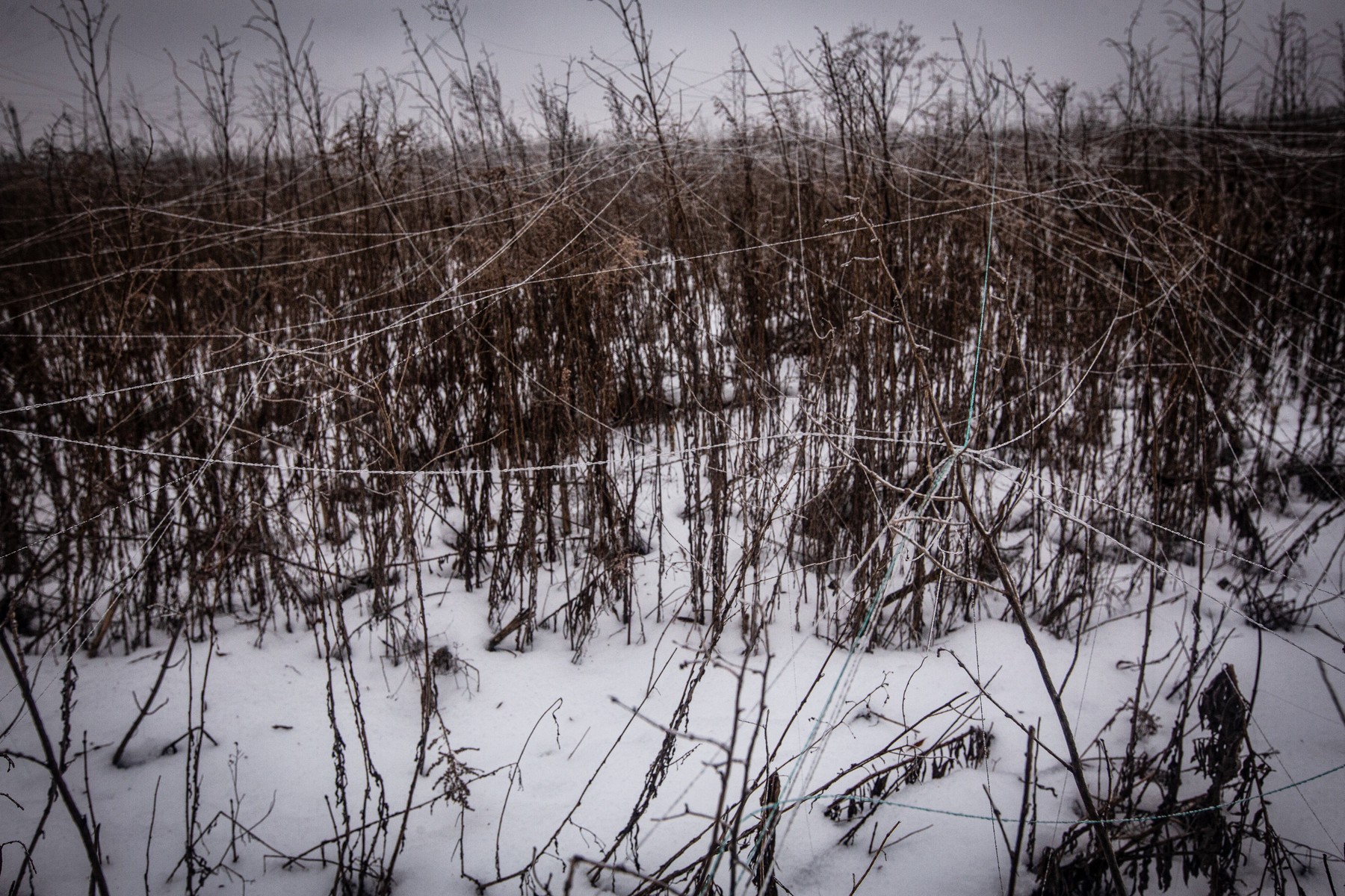 Fiber optic drone cables in a field on the Sumy war front. In the cold of winter, the Ukrainian army fights by using reconnaissance drones to locate targets and artillery to attack them