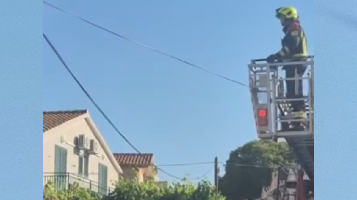 gasilci